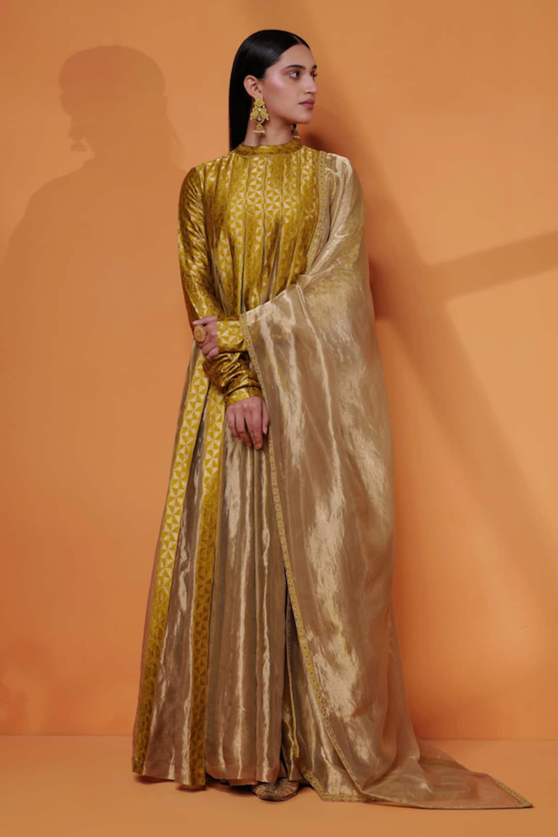 Taisha Handwoven Panelled Anarkali With Dupatta 