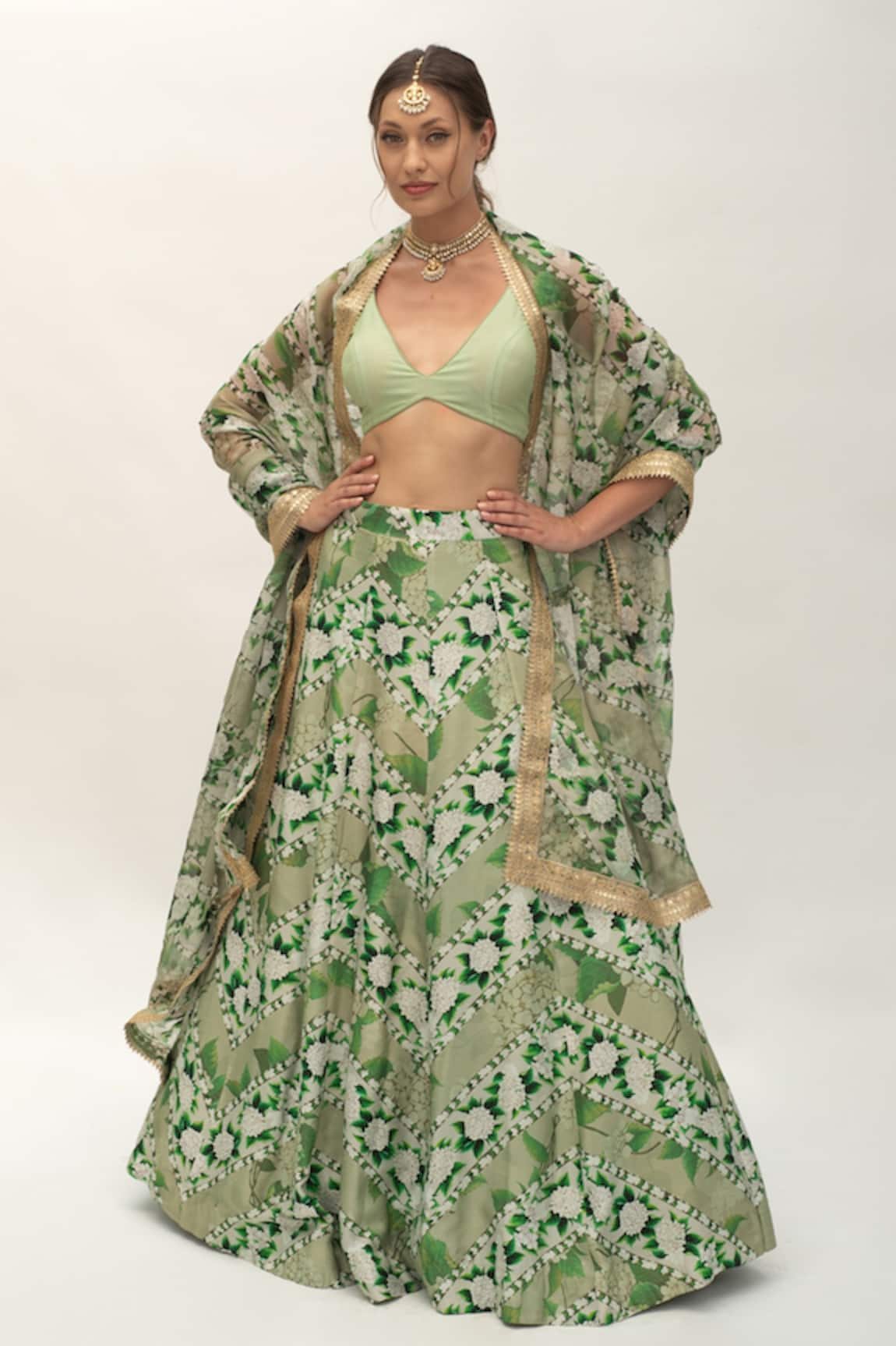 SANAM Botanic Pattern Panelled Lehenga Set