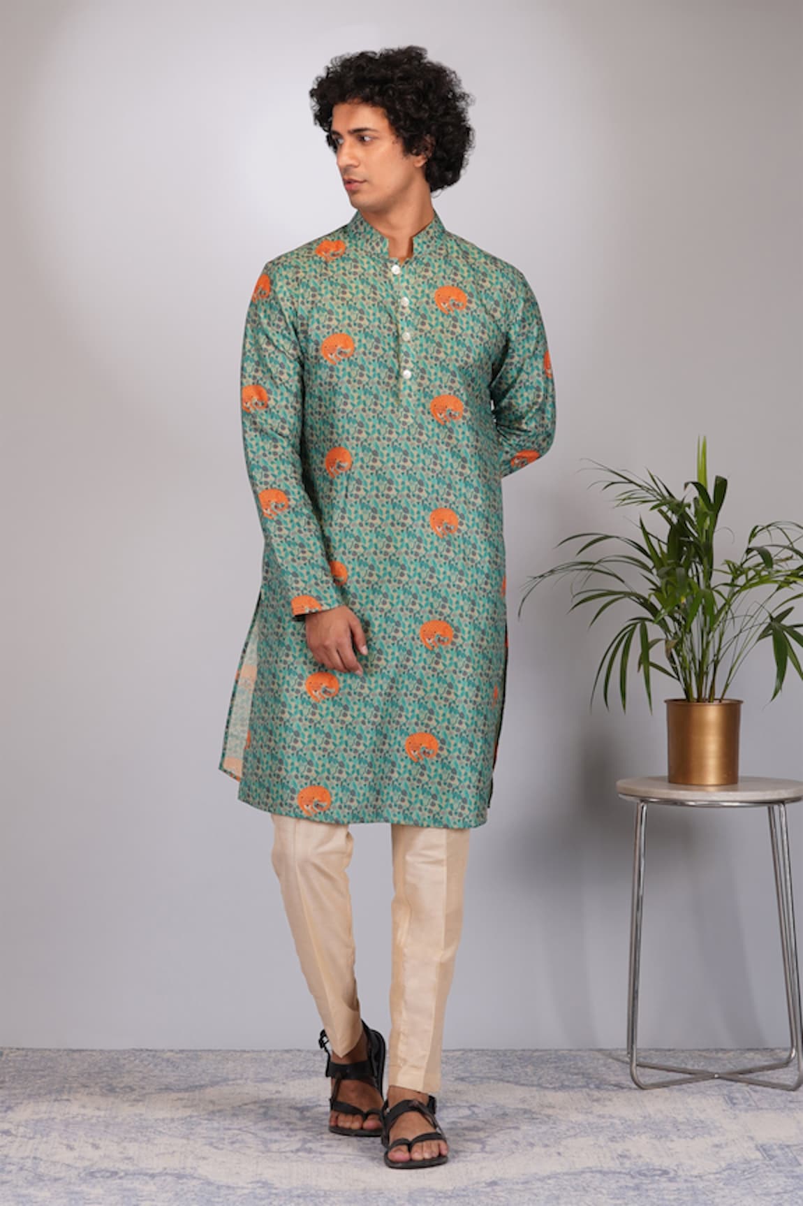 Eleven Brothers Tiger Land Print Kurta & Pant Set