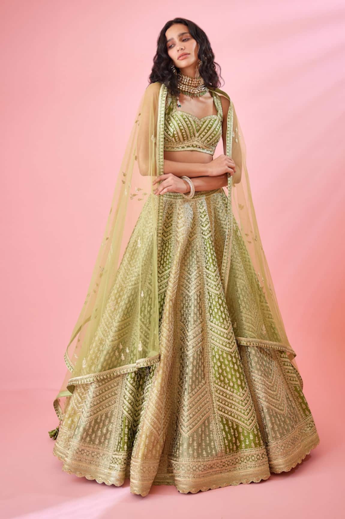 Shyam Narayan Prasad Chevron Embroidered Panelled Bridal Lehenga Set 