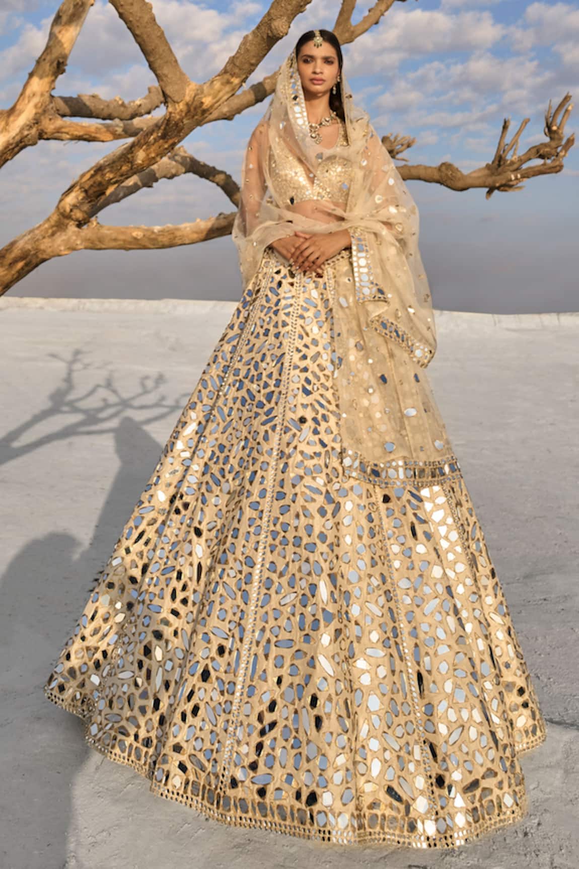 Seema Gujral Mirror Embroidered Lehenga Set