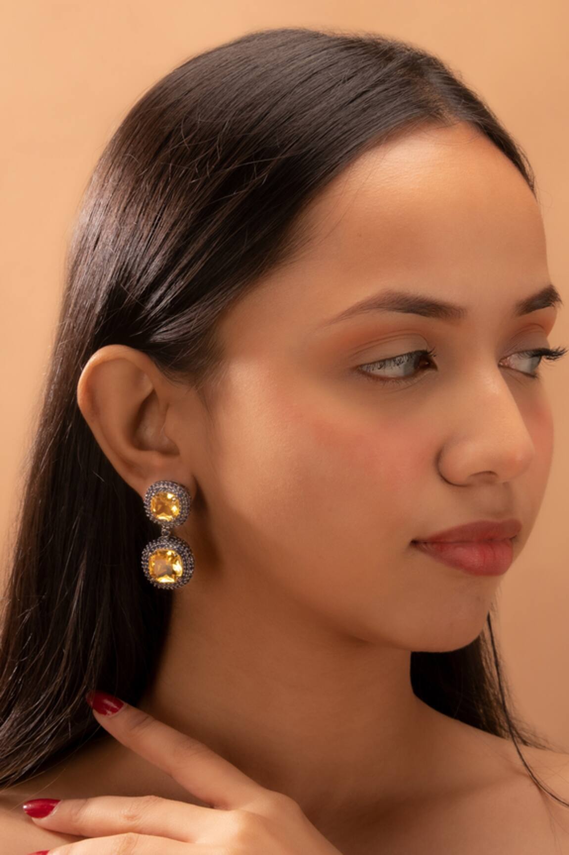 Tizora Stone Studded Drop Earrings 