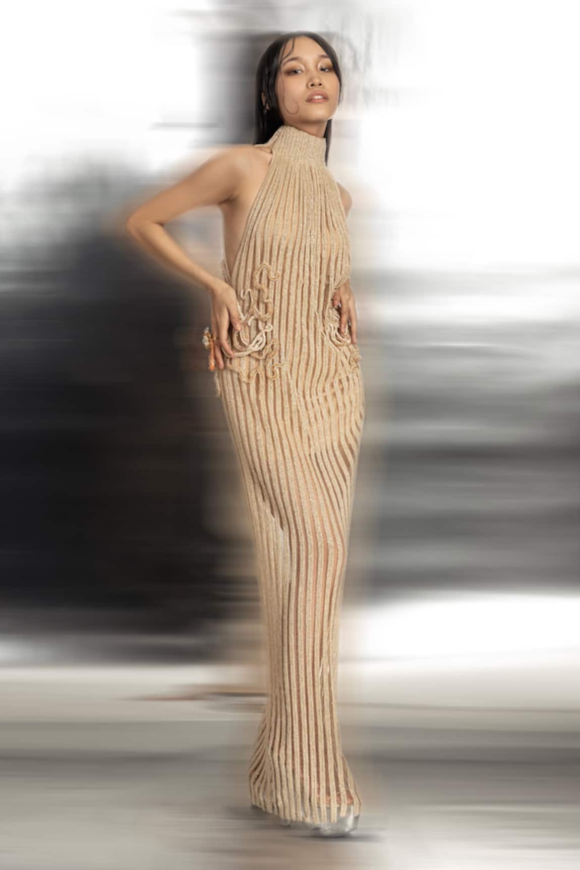 Abhishek Sharma Vertical Beads Embellished Gown