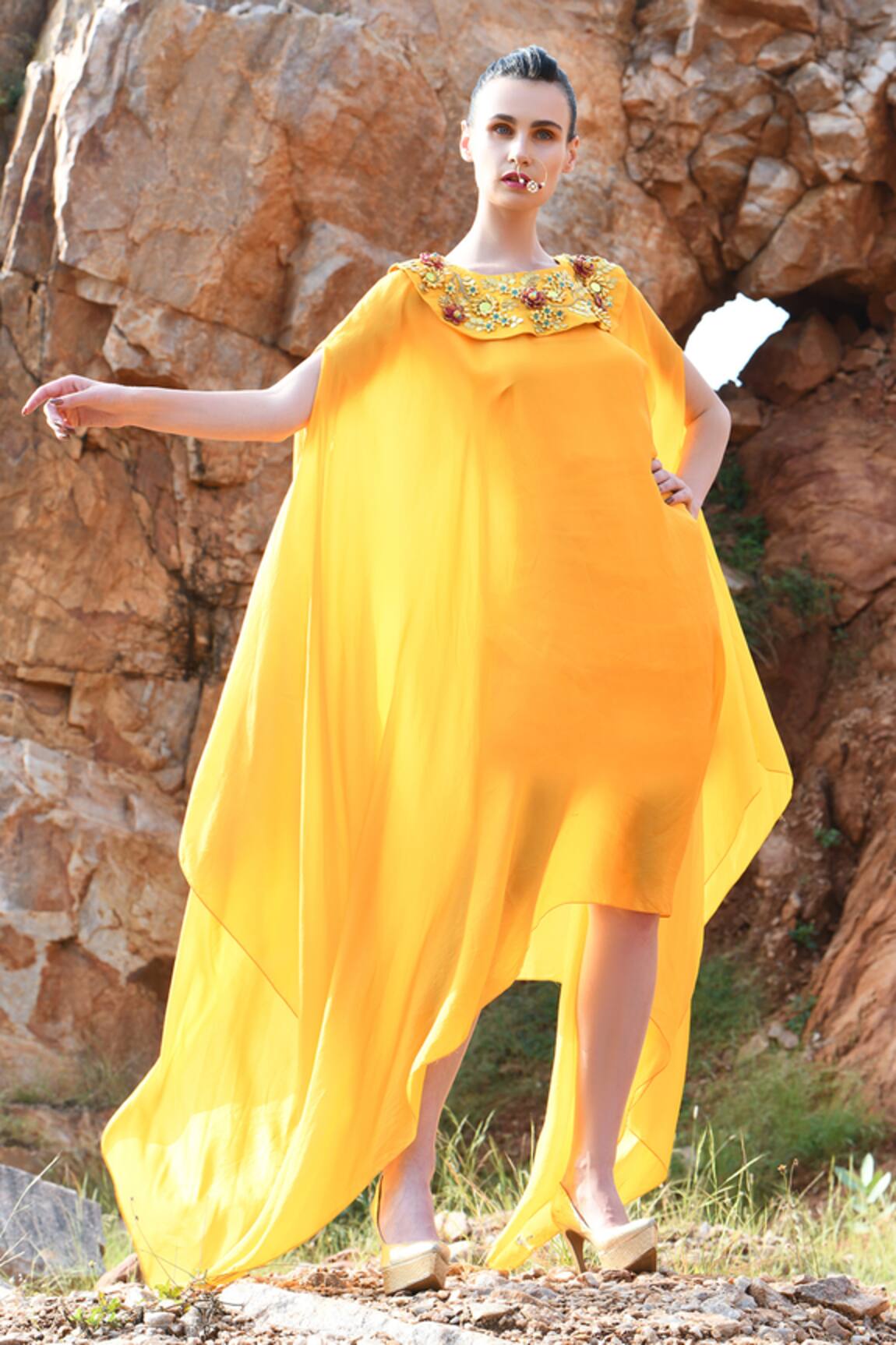 Xoxo Apurva 3D Embroidered Draped Dress