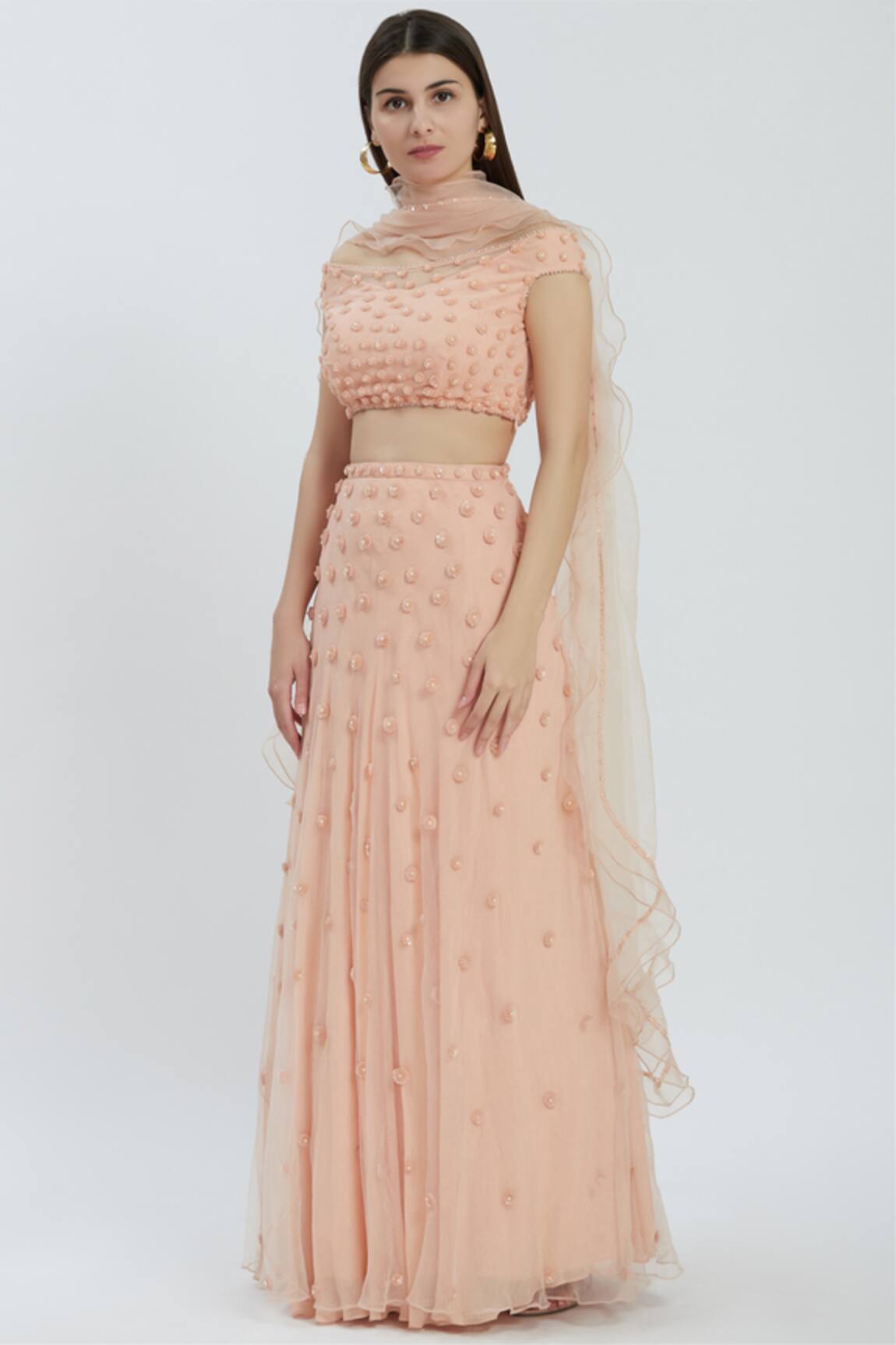 Arpan Vohra Embellished Lehenga Set