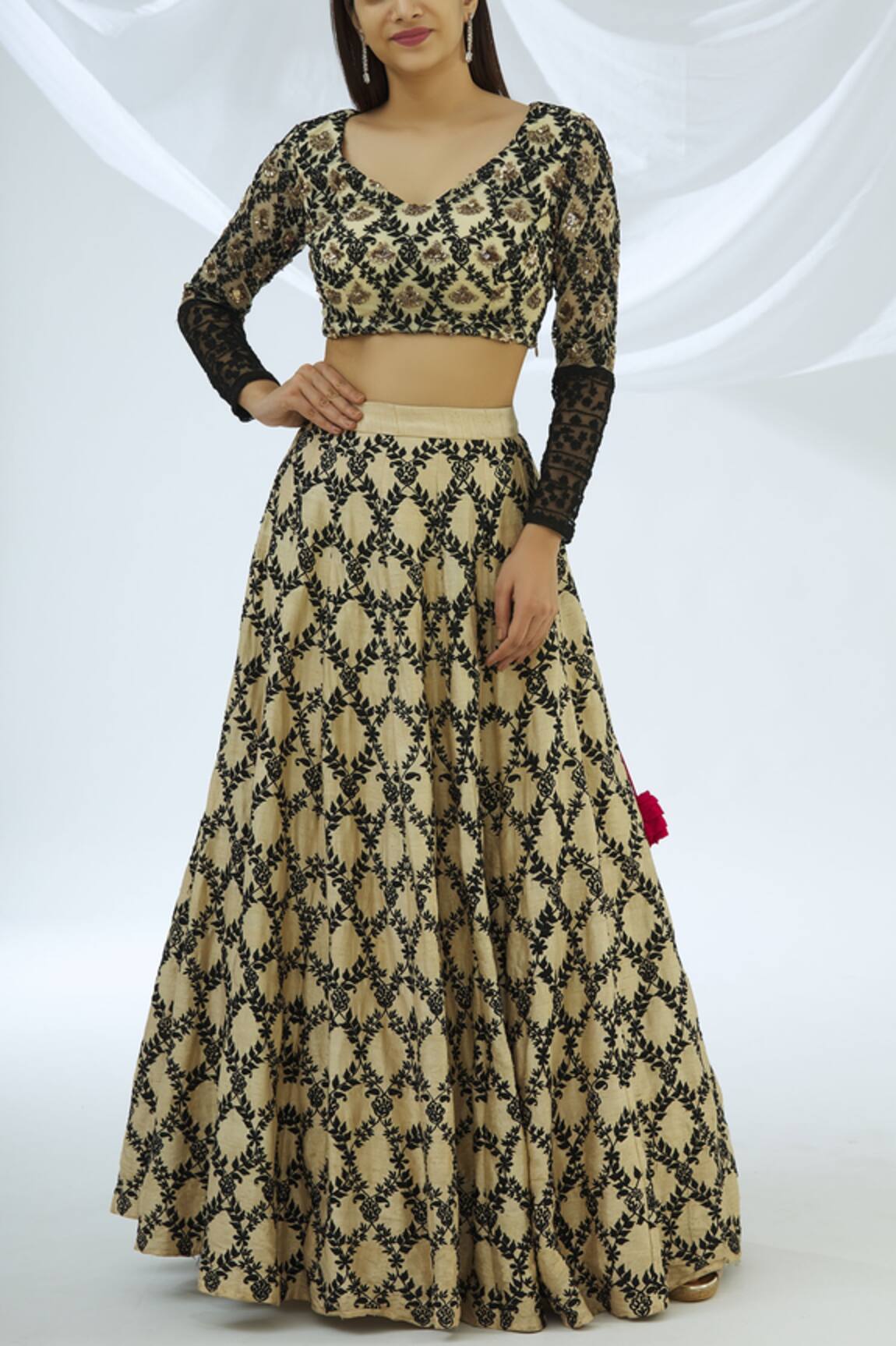 Astha Narang Embellished Lehenga Set