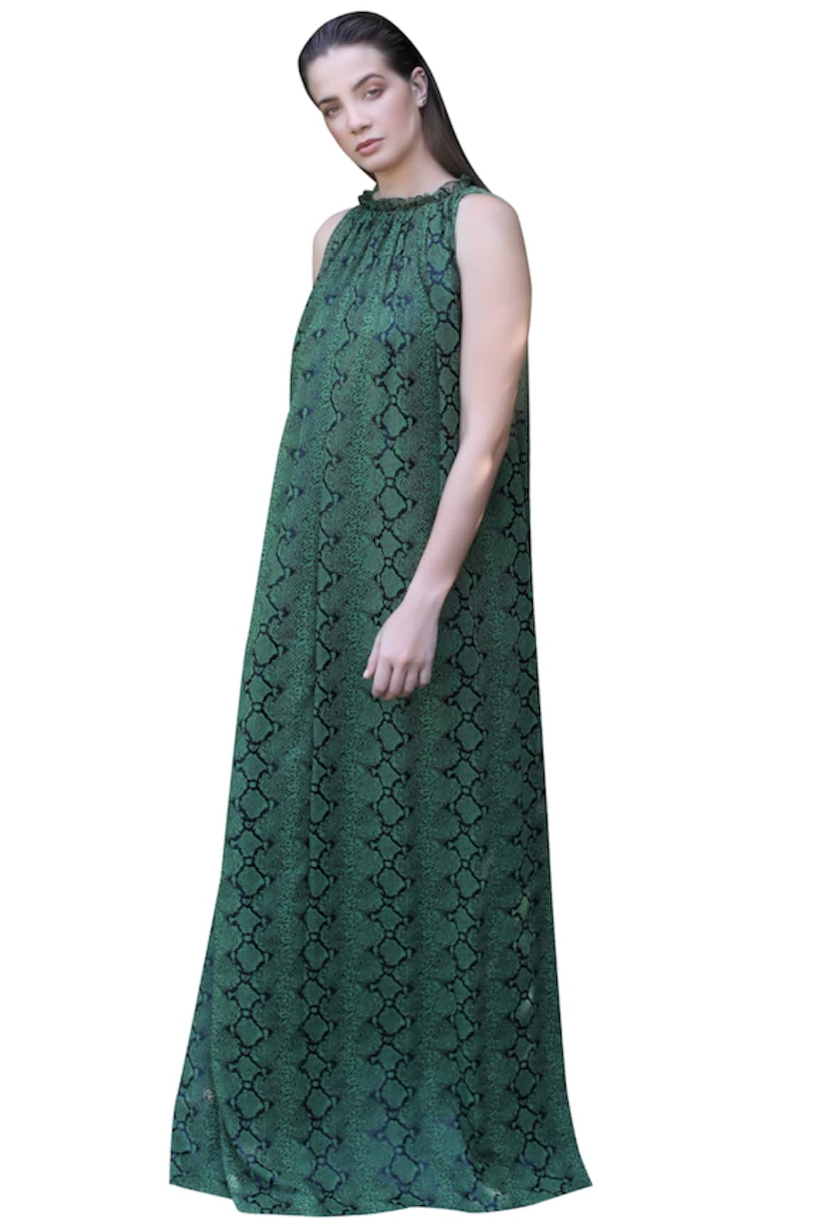 Swatee Singh Printed Gown 