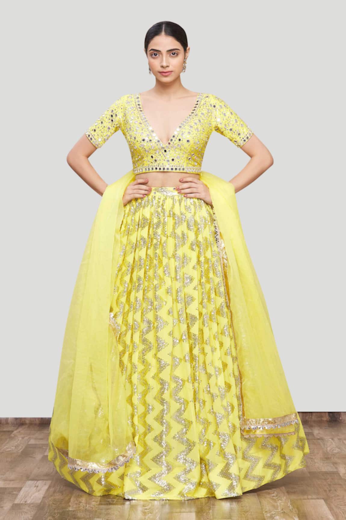 Neha Khullar Embroidered Lehenga Set 