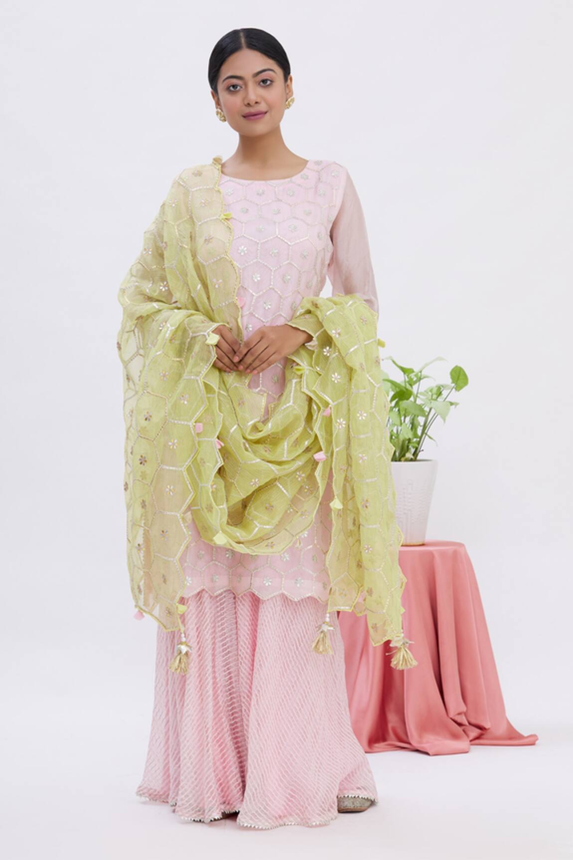 Surabhi Arya Jaal Embroidered Kurta Sharara Set