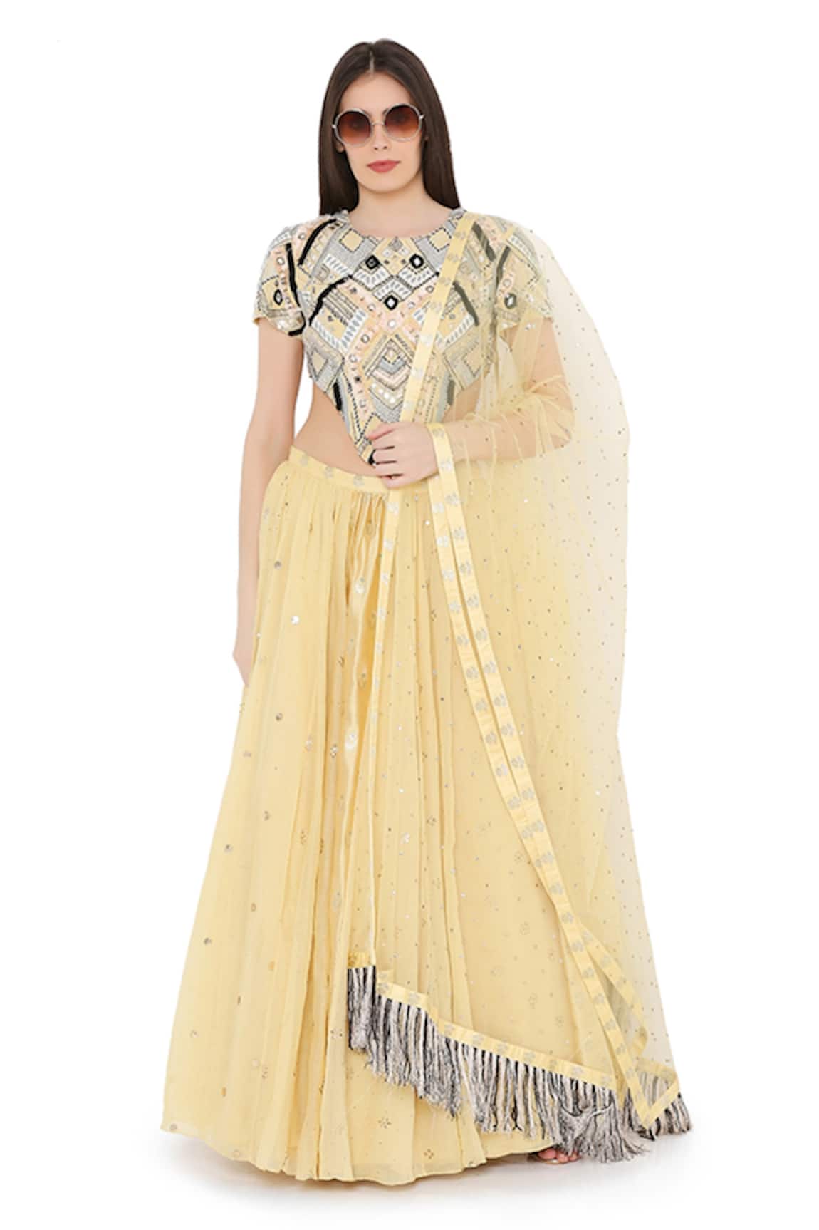 Payal Singhal Embroidered Panelled Lehenga Set 
