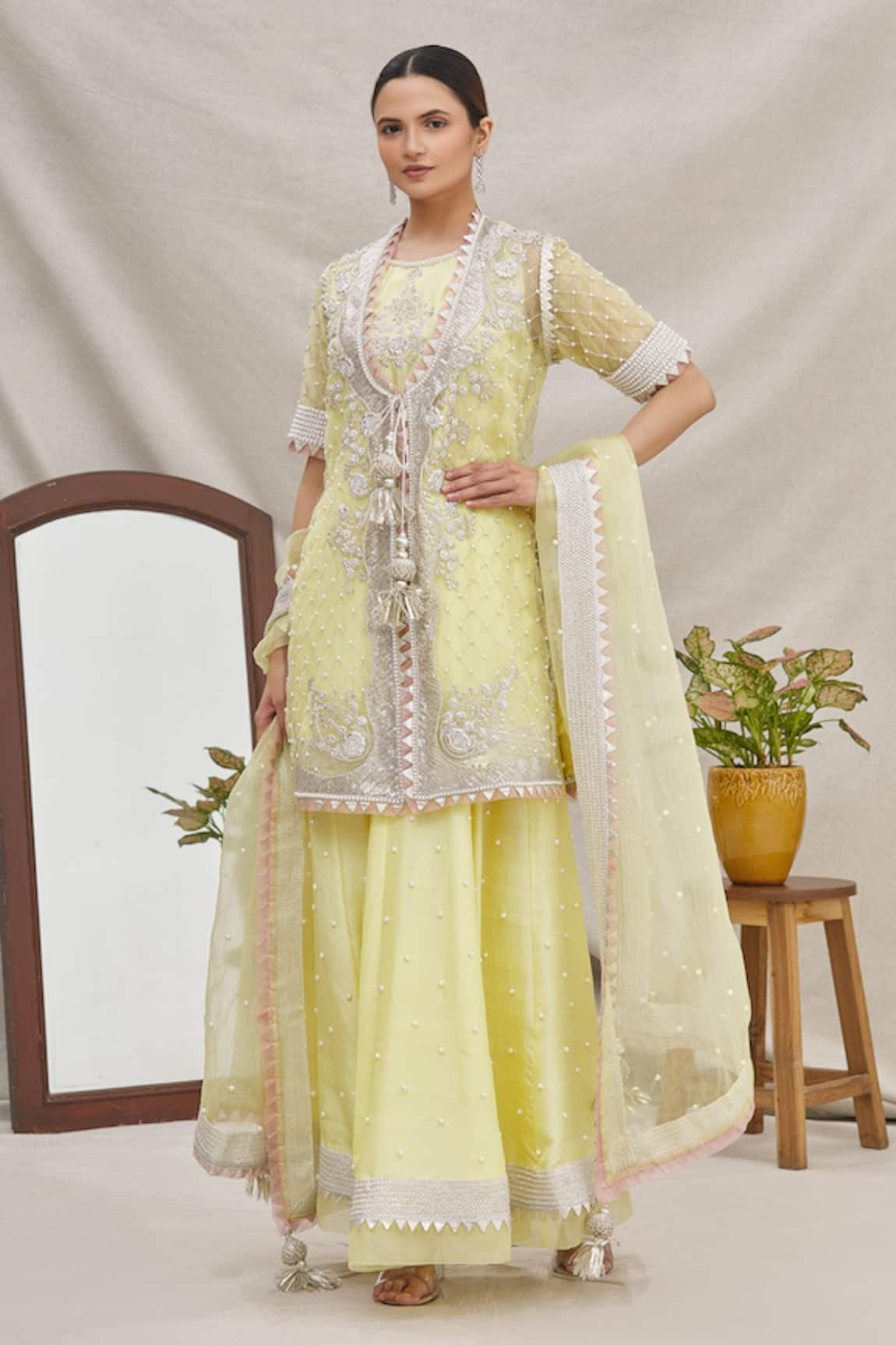 Ekta Singh Organza Jacket & Gharara Set