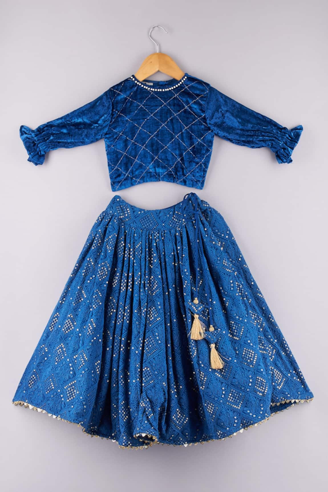 P & S CO Floral Embroidered Lehenga & Velvet Choli Set 