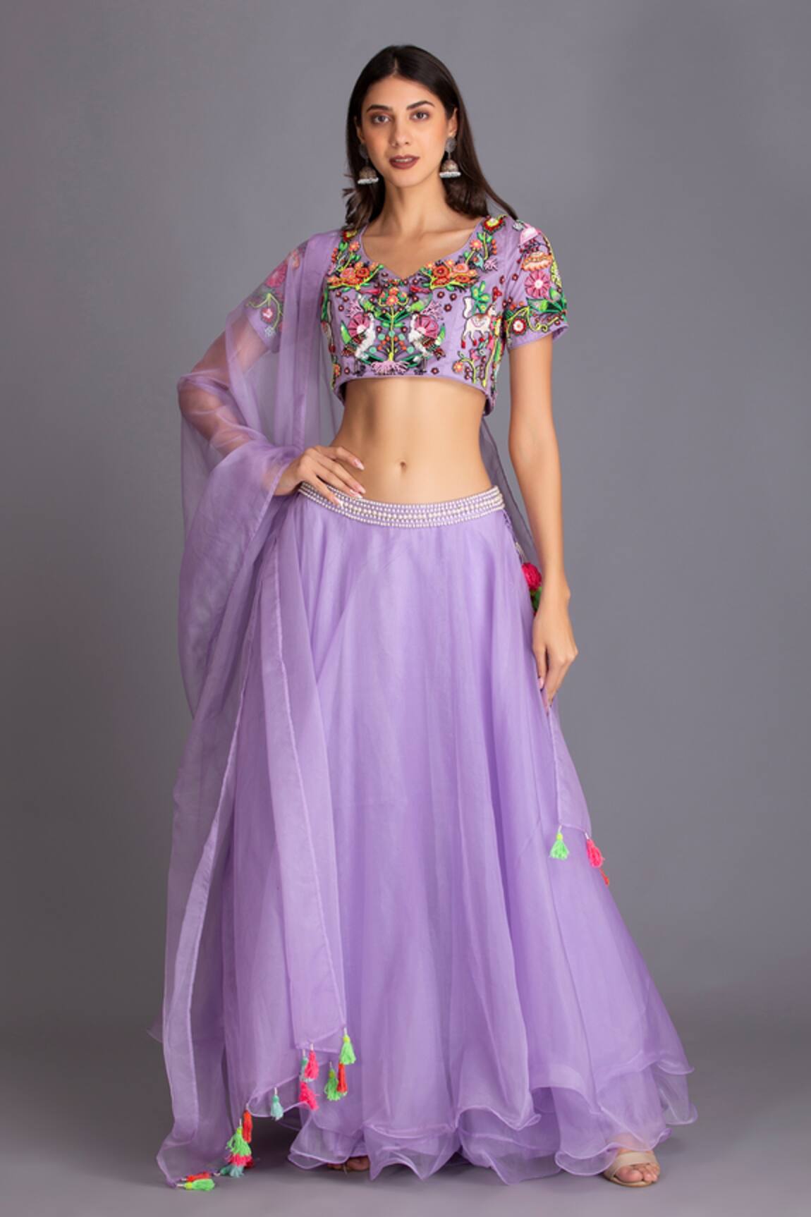 House Of Tushaom Waistband Embroidered Lehenga Set