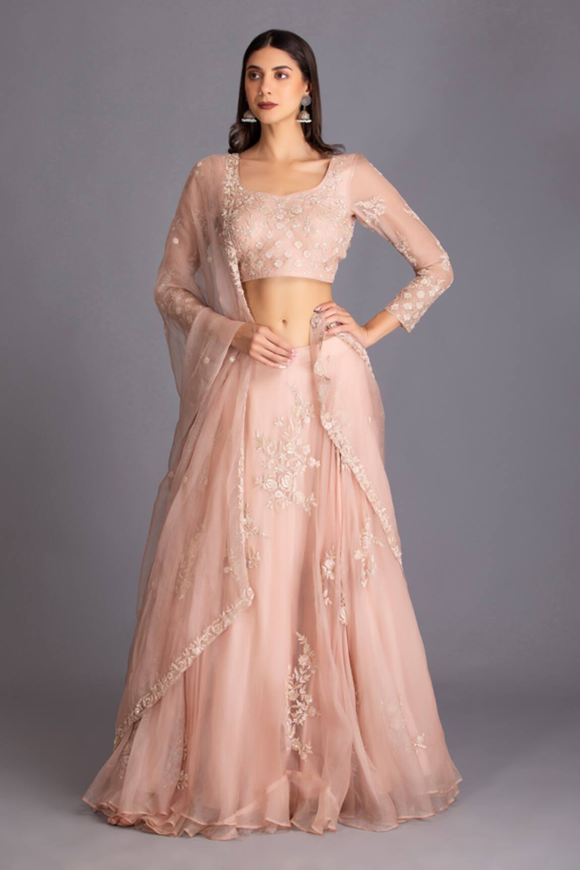 House Of Tushaom Placement Embroidered Lehenga Set