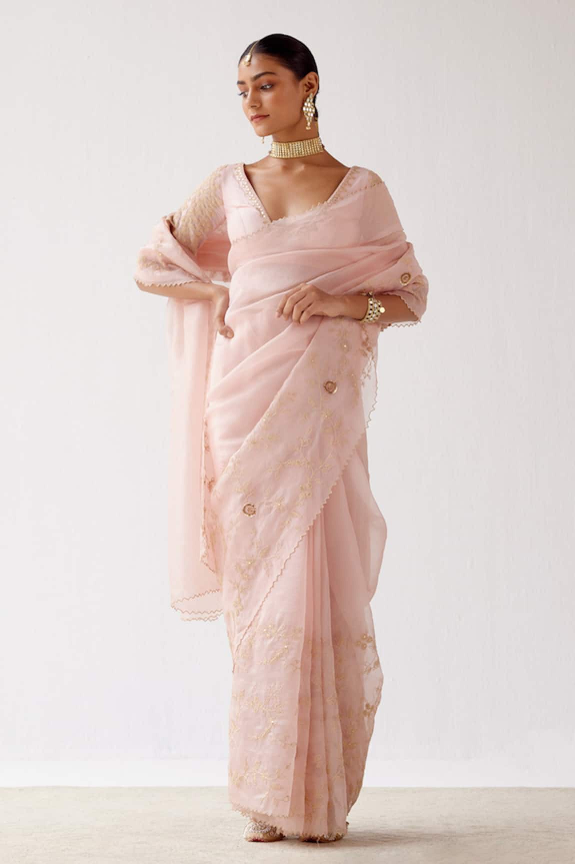 Devnaagri Embroidered Saree With Blouse 