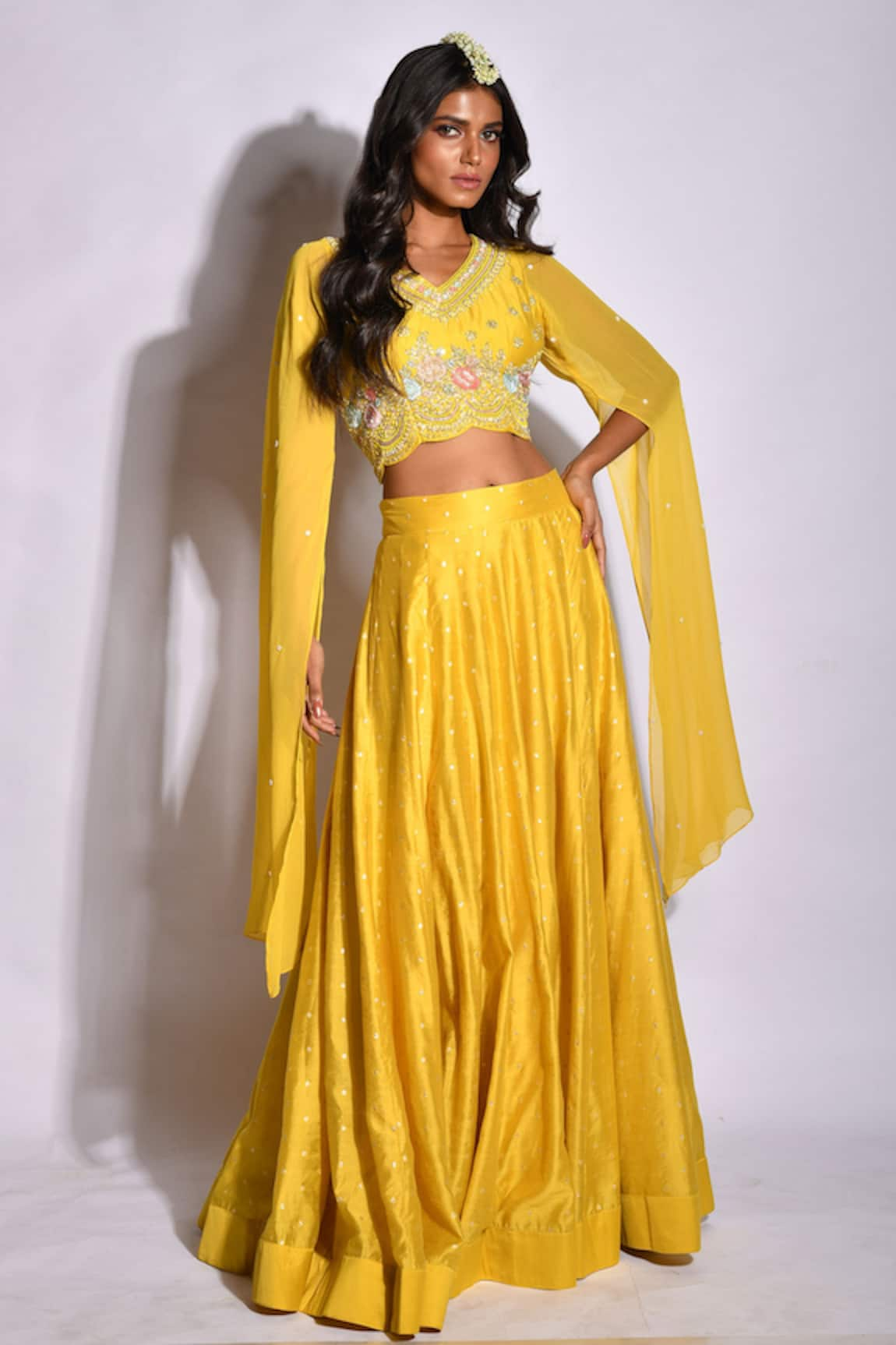 Aksh Embroidered Crop Top & Skirt Set