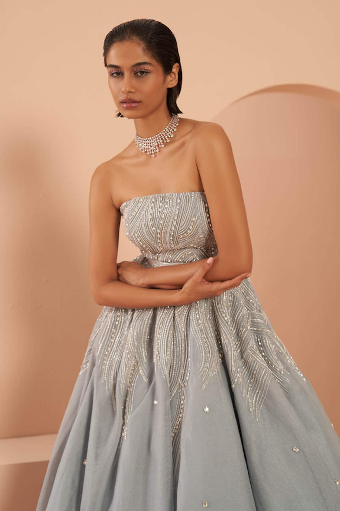 Parul Gandhi Frozen Embroidered Tube Gown 