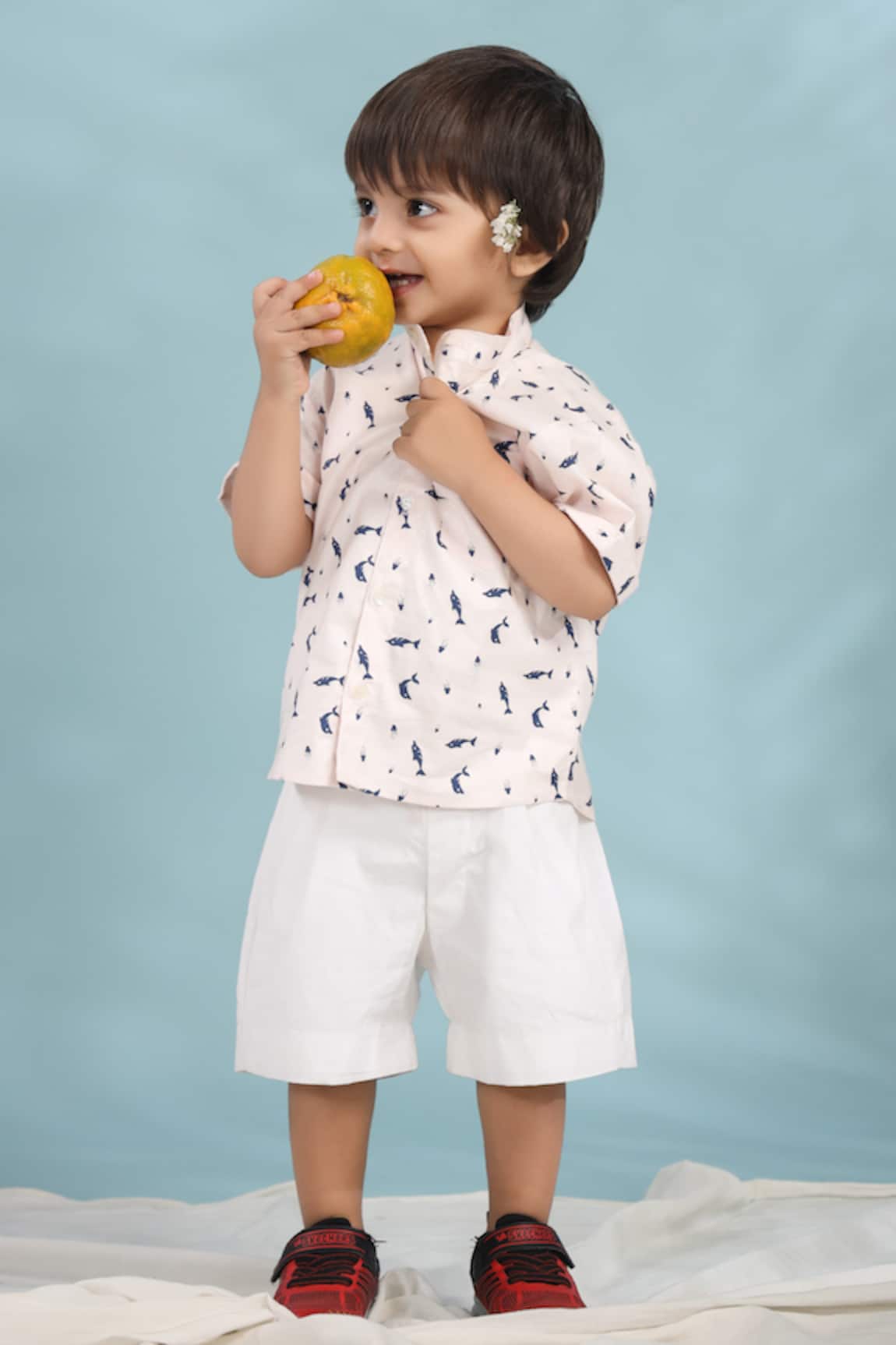 Casa Ninos Cotton Dolphin Print Shirt 