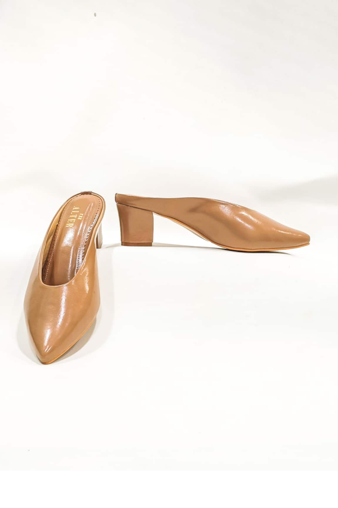 The Alter Bianca Pointed Toe Block Heels