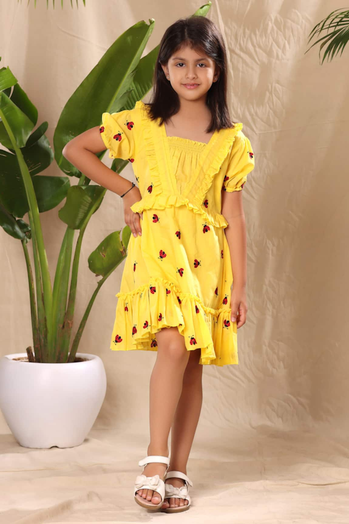 LittleCheer Ladybug Embroidered Dress