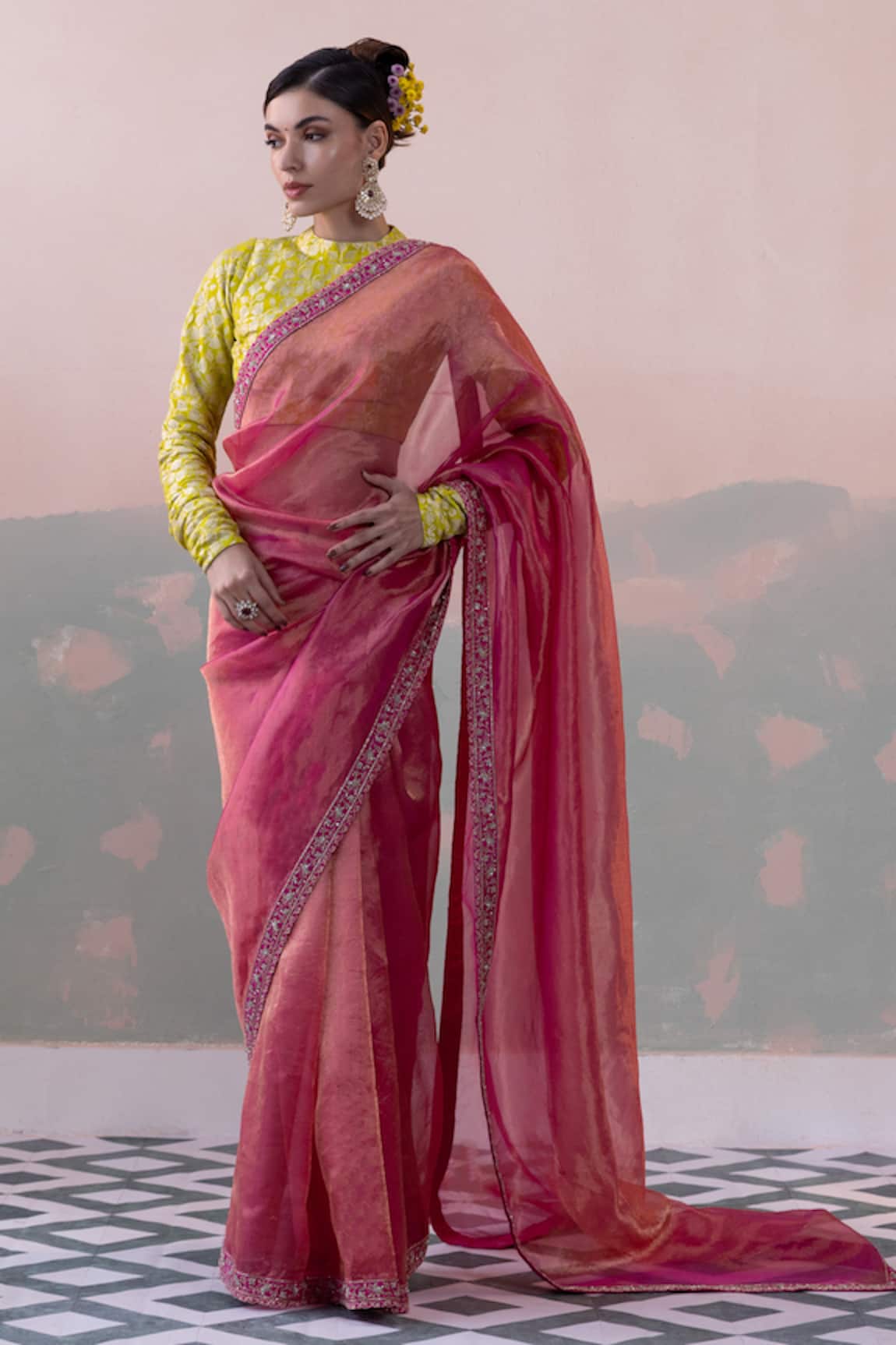 Taisha Tissue Silk Embroidered Border Saree With Blouse