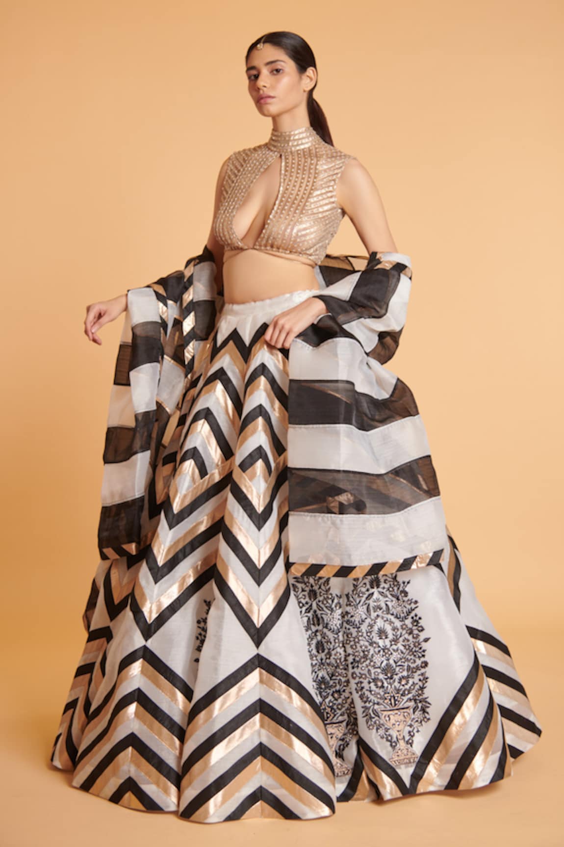 Siddartha Tytler Chevron Woven Lehenga Set