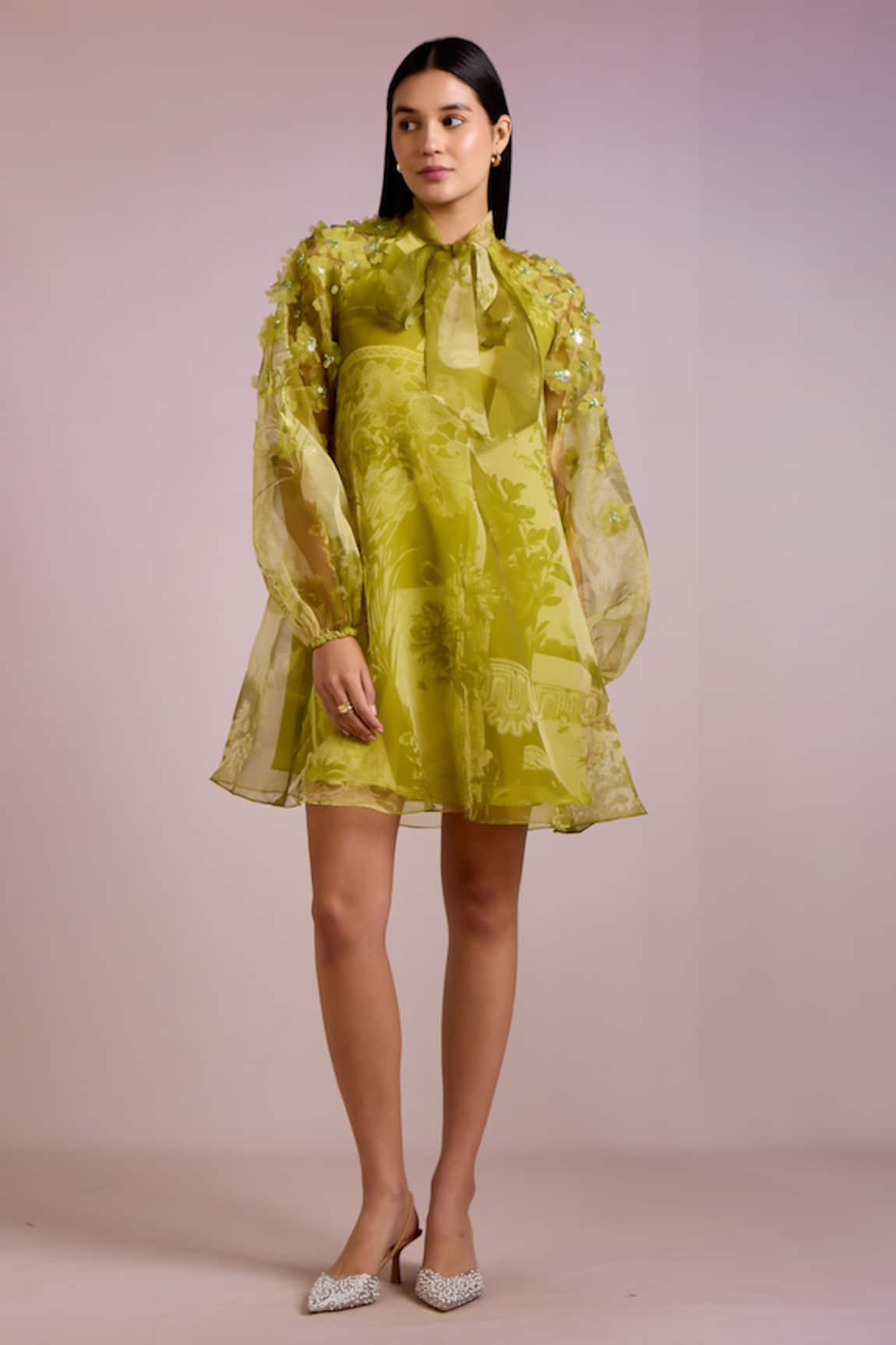 Pankaj & Nidhi Alba Florence Print Semi Sheer Mini Dress With Inner