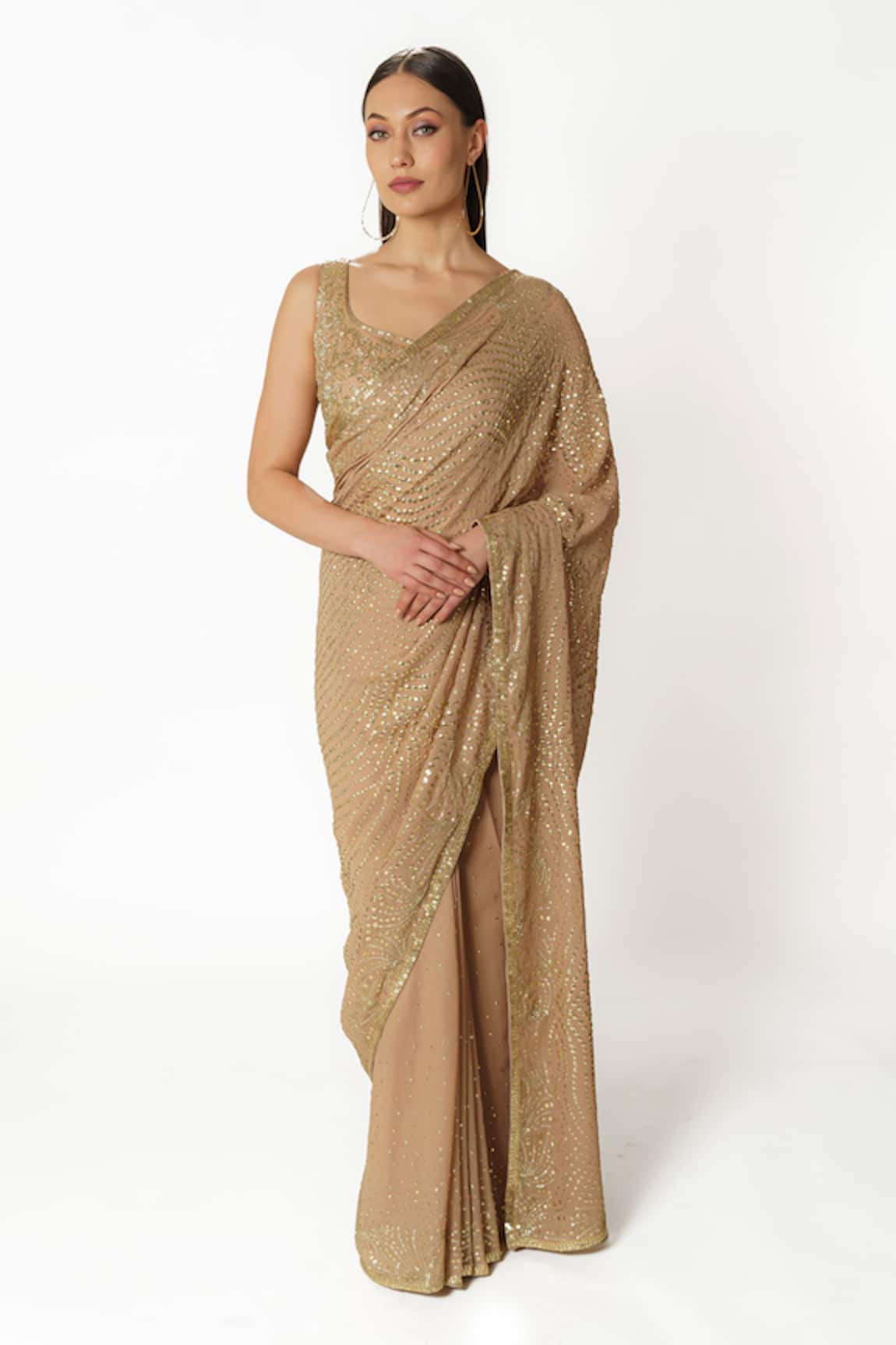 Rabani & Rakha Fern Jaal Gold Hand Embroidered Saree Set