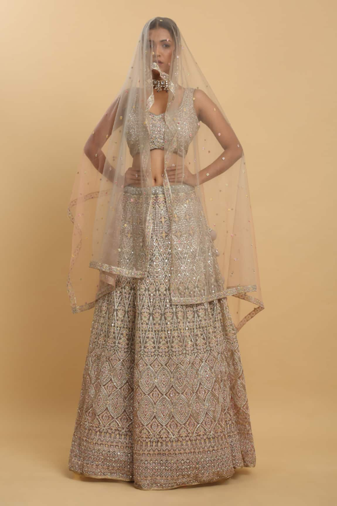 Aham-Vayam Fiza Embroidered Lehenga Set