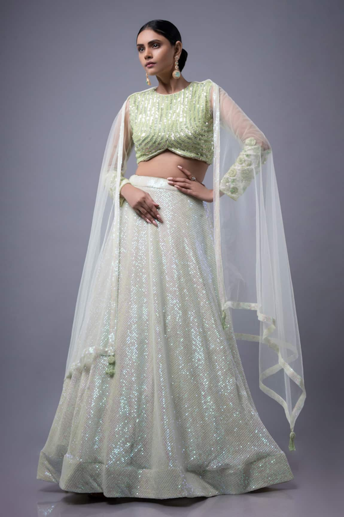 Ellemora fashions Elegance Sequin Embroidered Lehenga Set