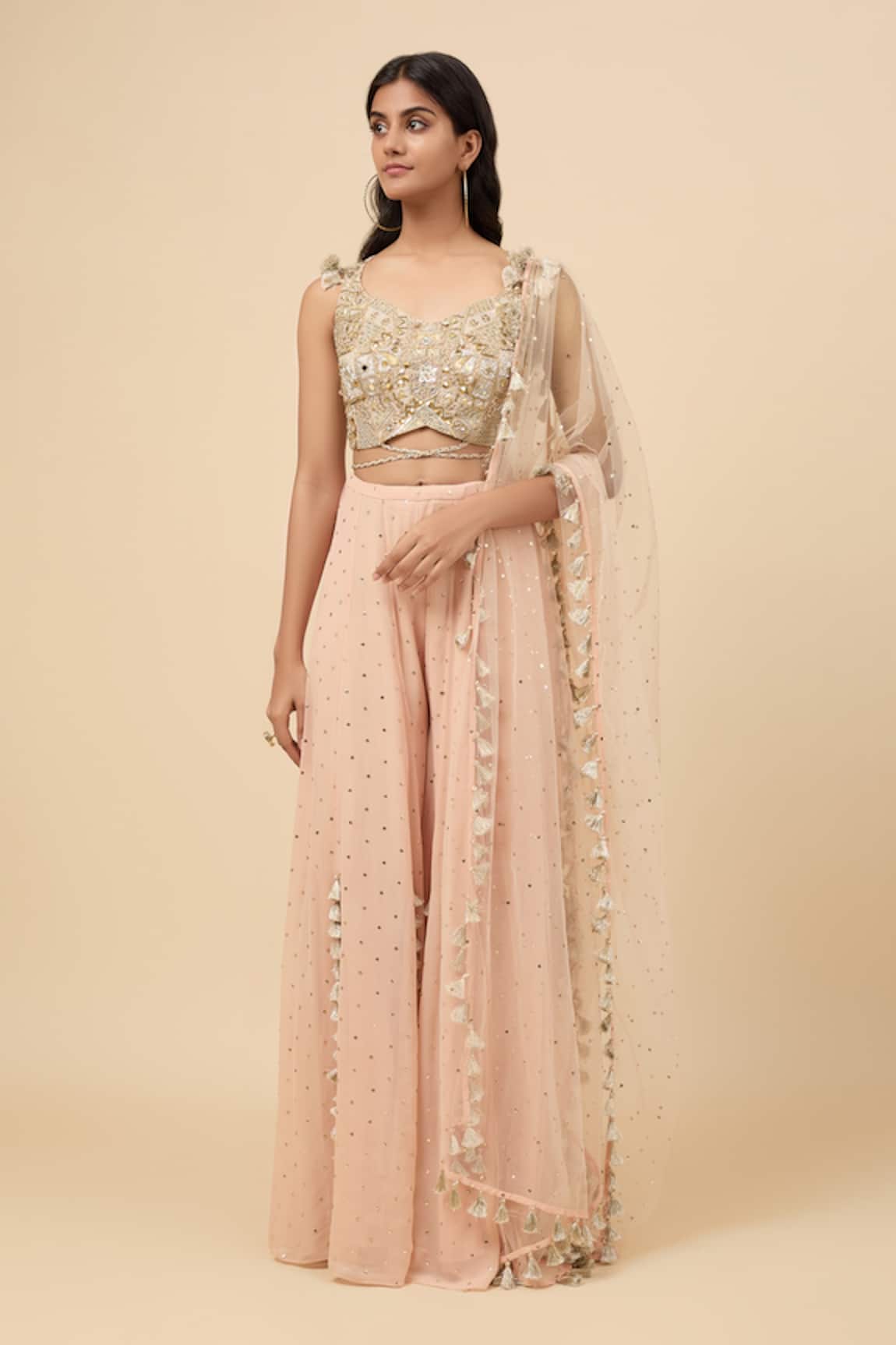 Payal Singhal Flora Embroidered Choli Sharara Set