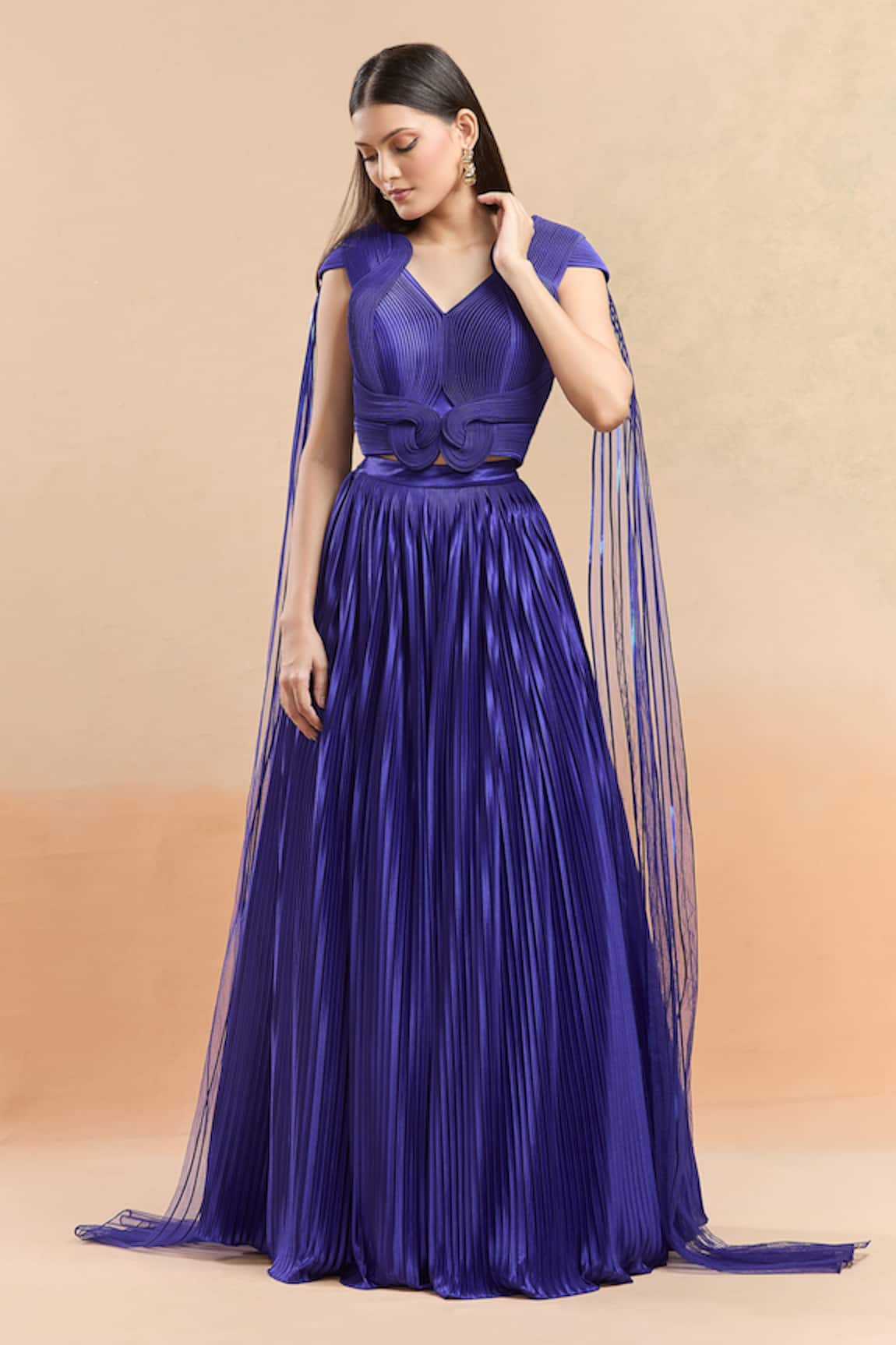 Amit Aggarwal Plisse Skirt & Structured Top Set 