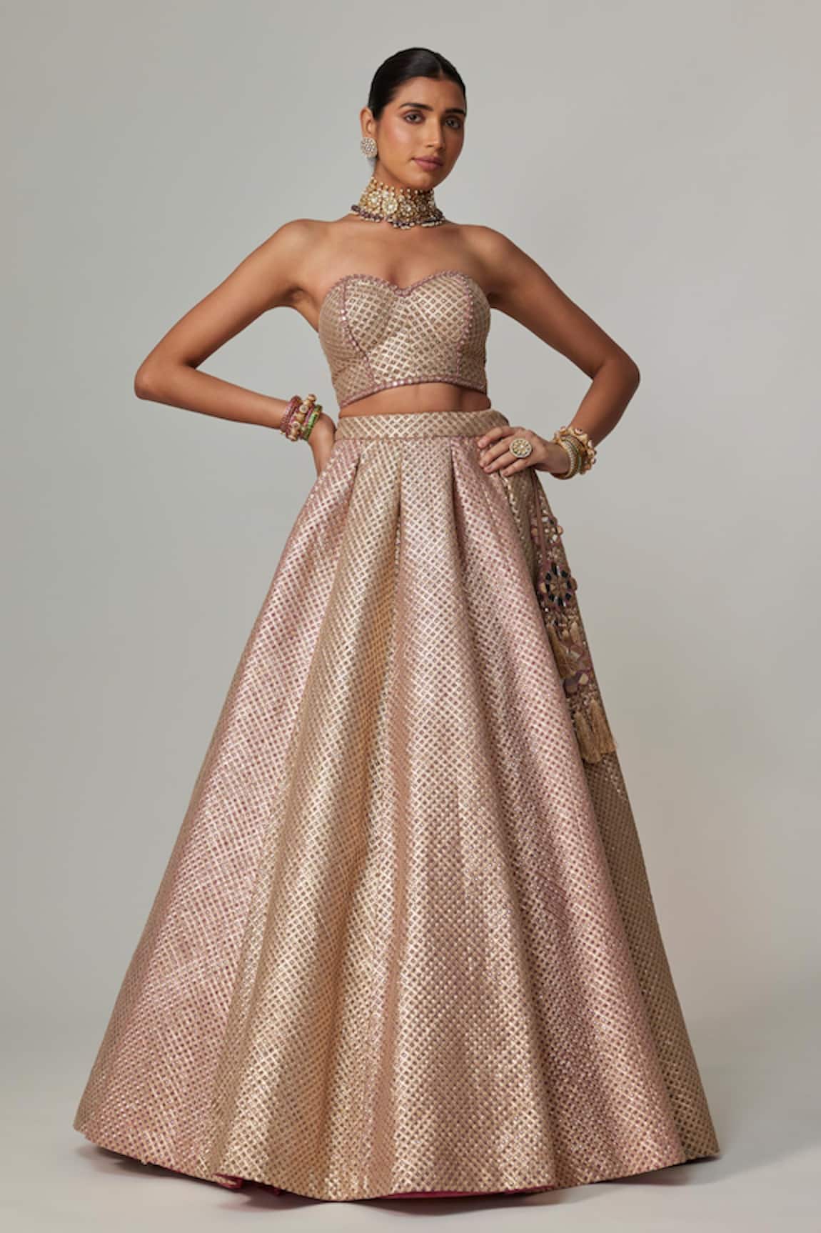 Vvani by Vani Vats Multicolor Corset & Lehenga Set 