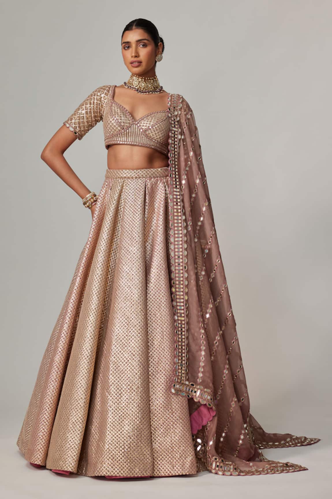 Vvani by Vani Vats Deep Beige Metallic Lehenga Set 