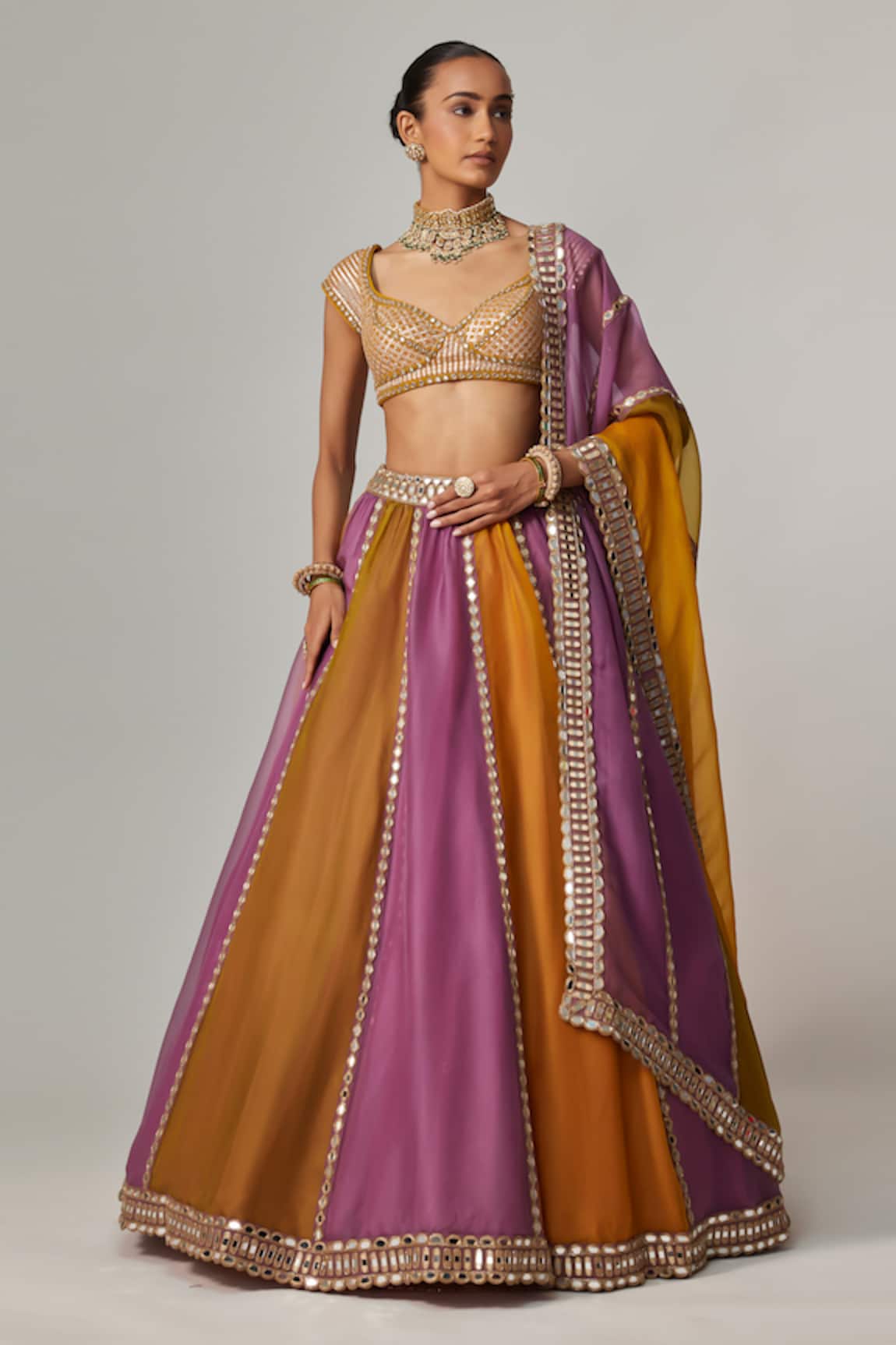 Vvani by Vani Vats Multicolor Linear Lehenga Set 
