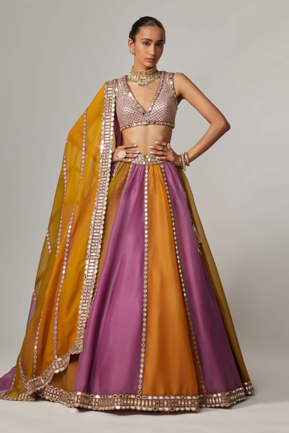 Vvani by Vani Vats Multicolor Linear Lehenga Set 