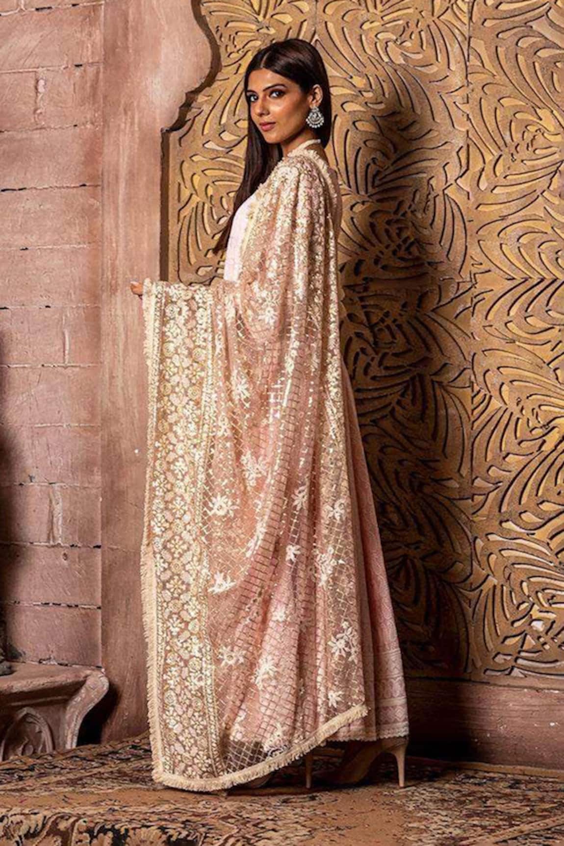 MONK & MEI BY SONIA ANAND Zari Embroidered Jaal Dupatta 