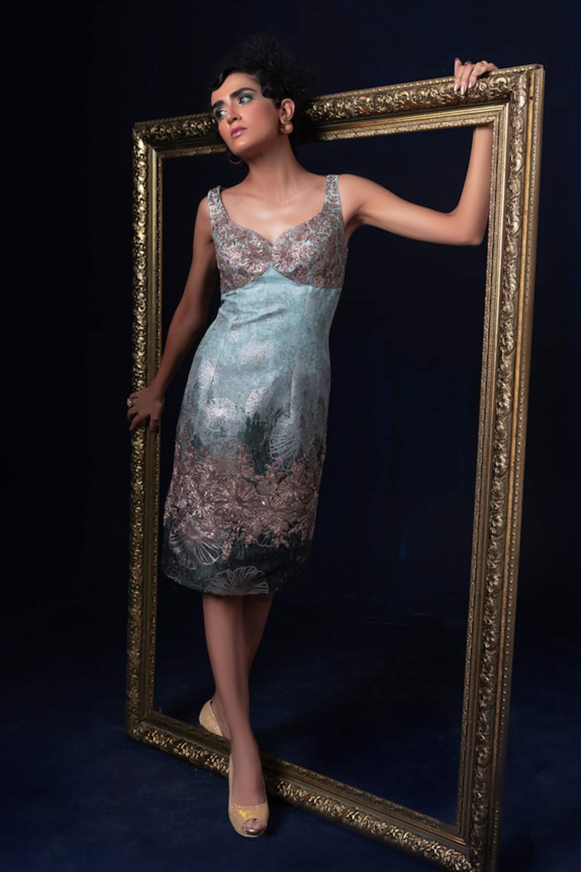 Adi By Aditya Khandelwl Hand Embroidered Jacquard Dress 