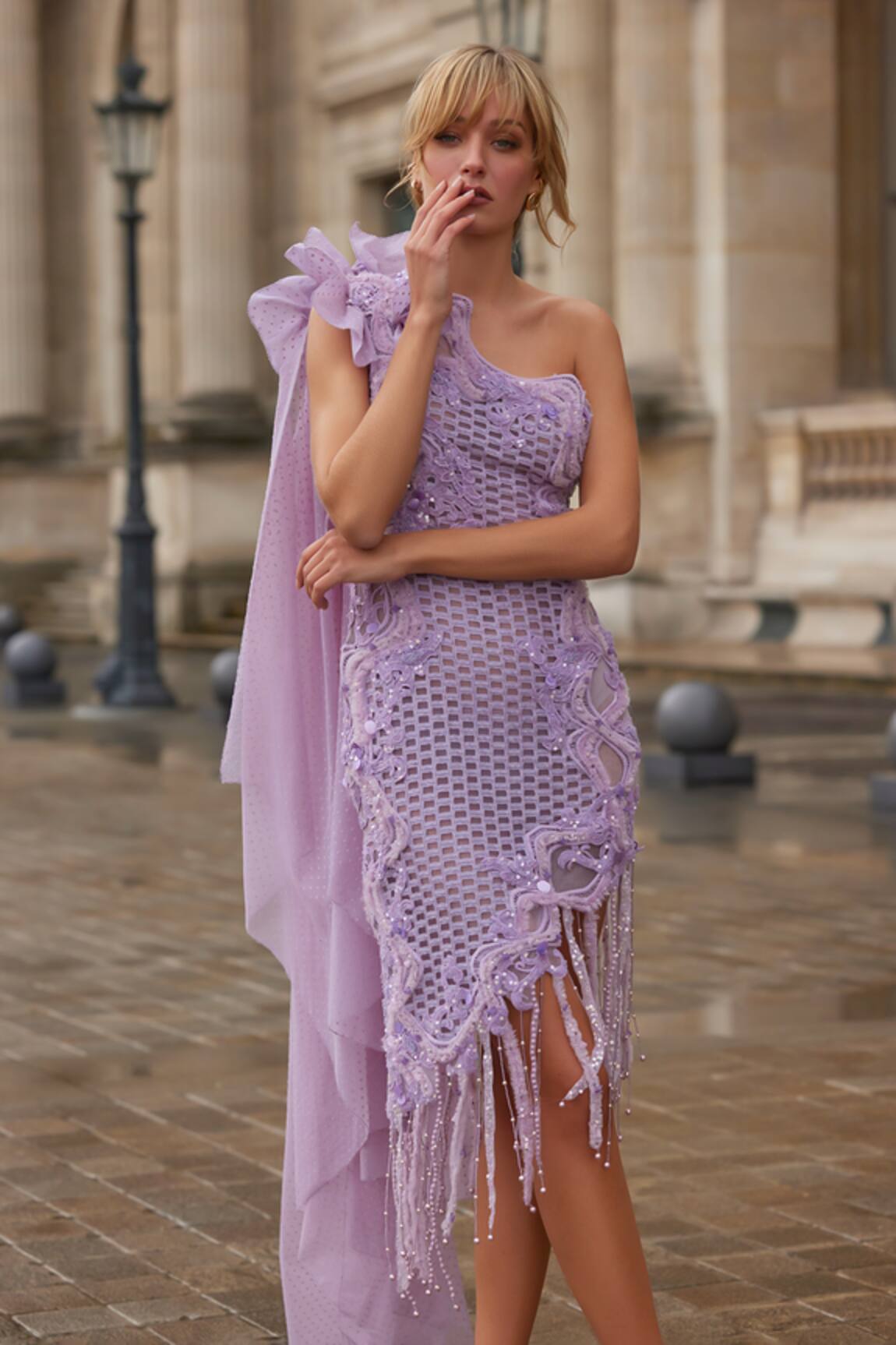 Supria Munjal Lilac Lace Designer Dress 