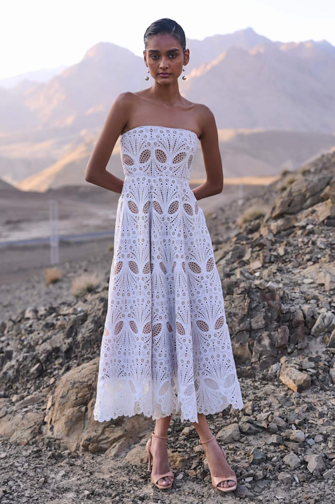 Dash And Dot Cutwork Lace Midi Dress 