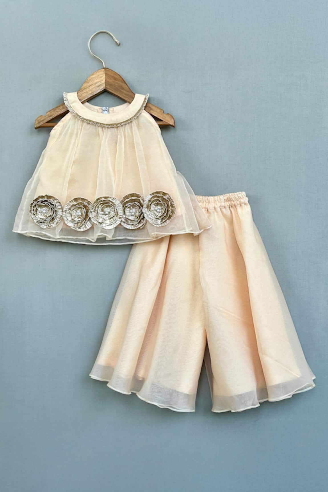 Label Neeti Champagne Gold Organza Co-ord Set 
