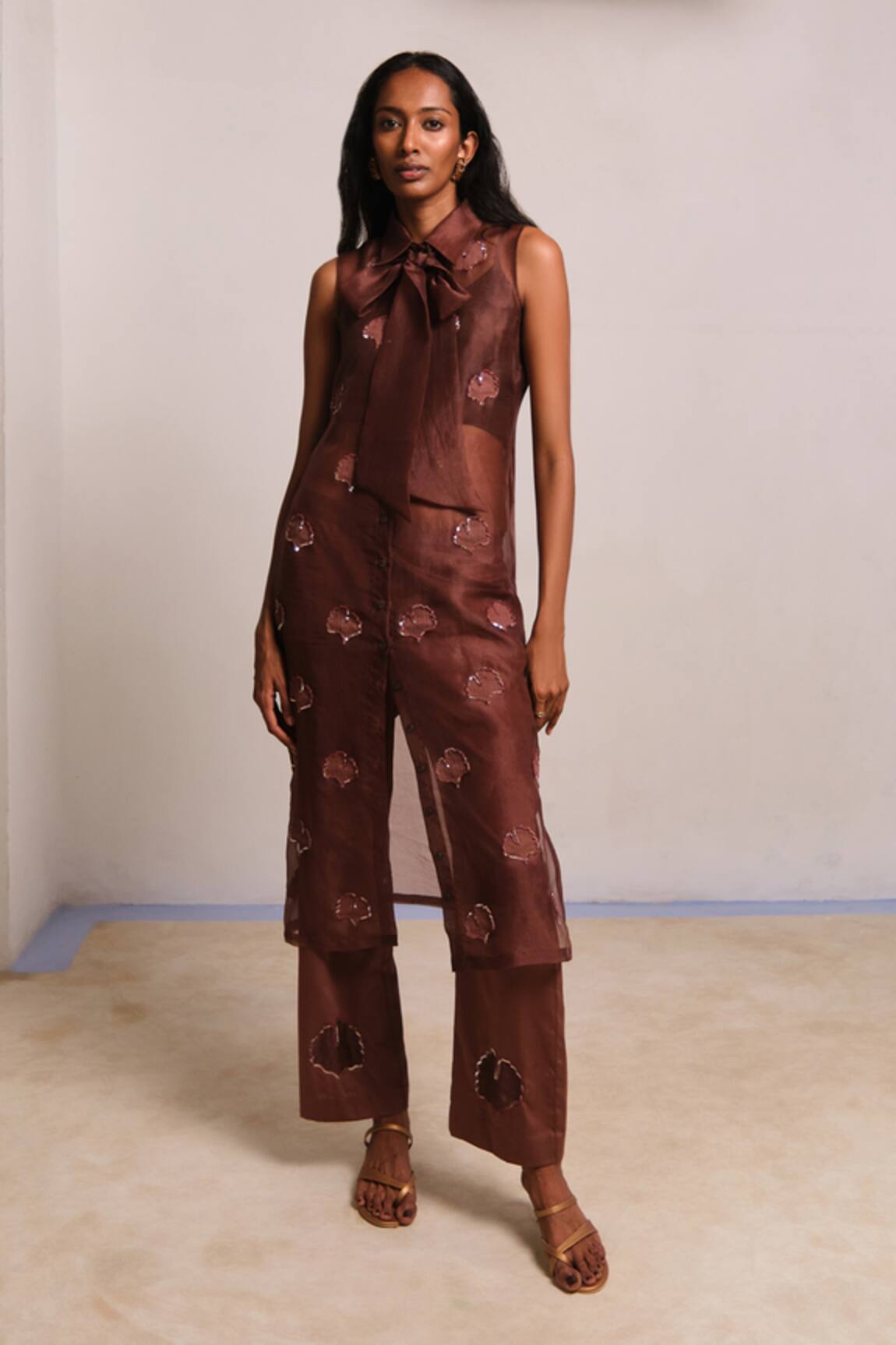 Shimona Brown Silk Organza Co-Ord Set 