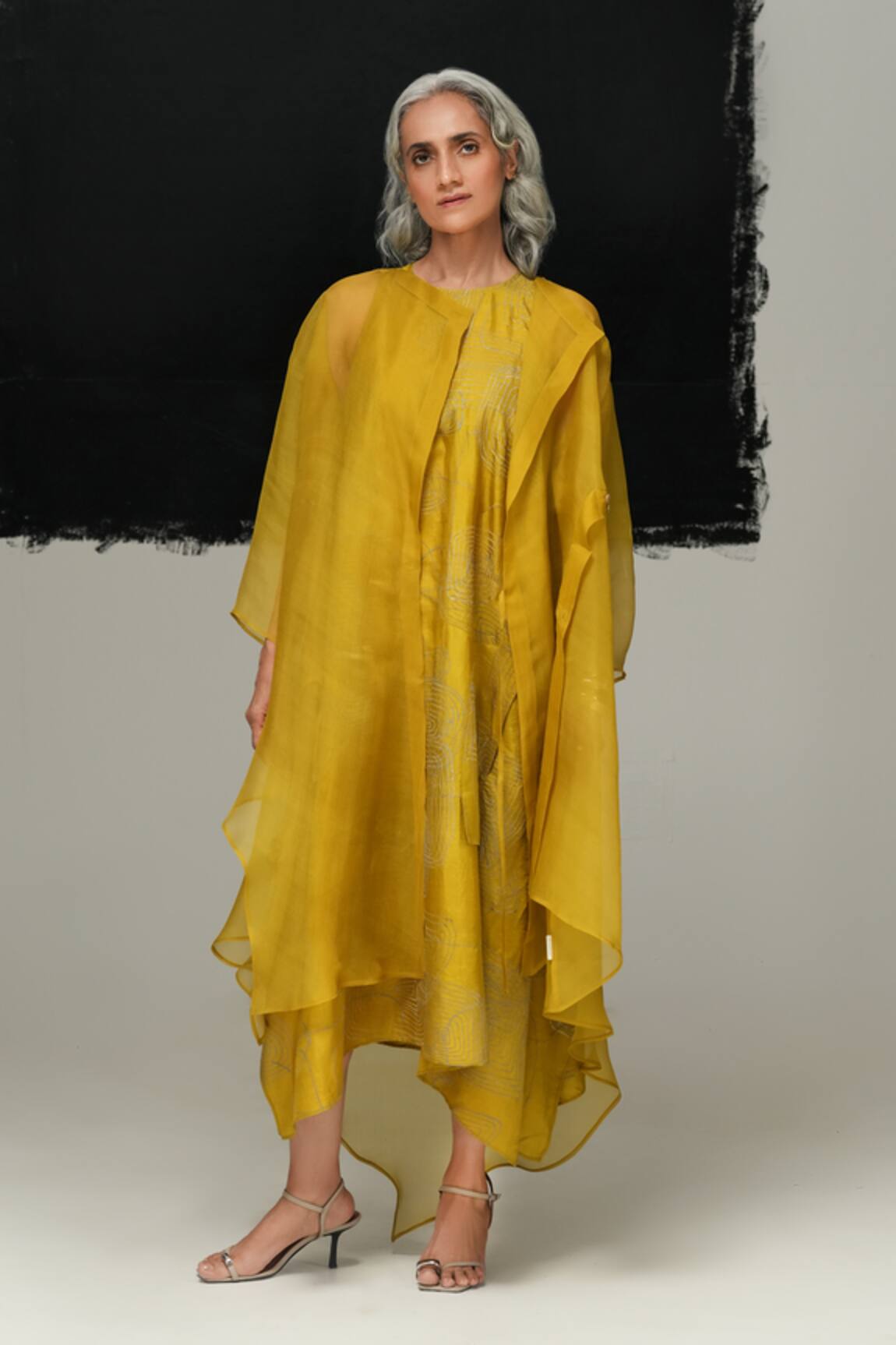 Urvashi Kaur Kaze Handwoven Organza Overlay 