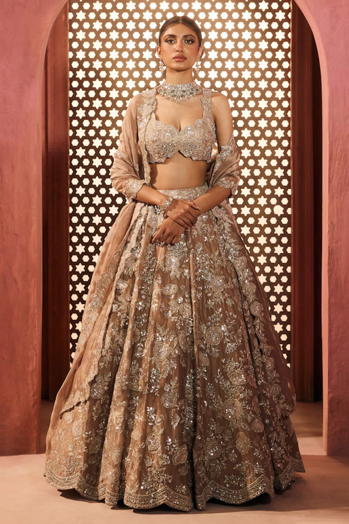 Aneesh Agarwaal Gold Embellished Lehenga Set 