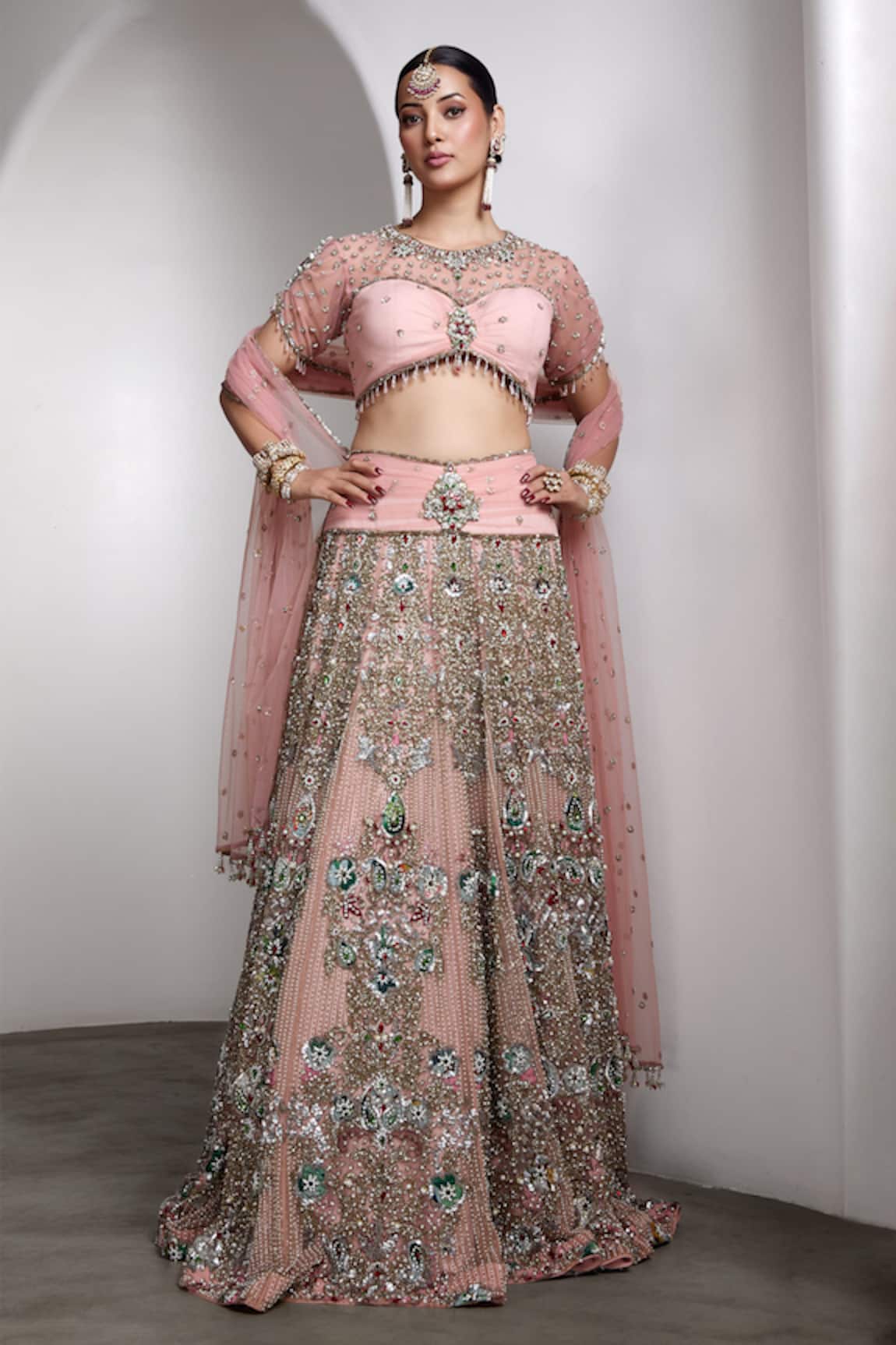 Rocky Star Embellished Blouse & Lehenga Set