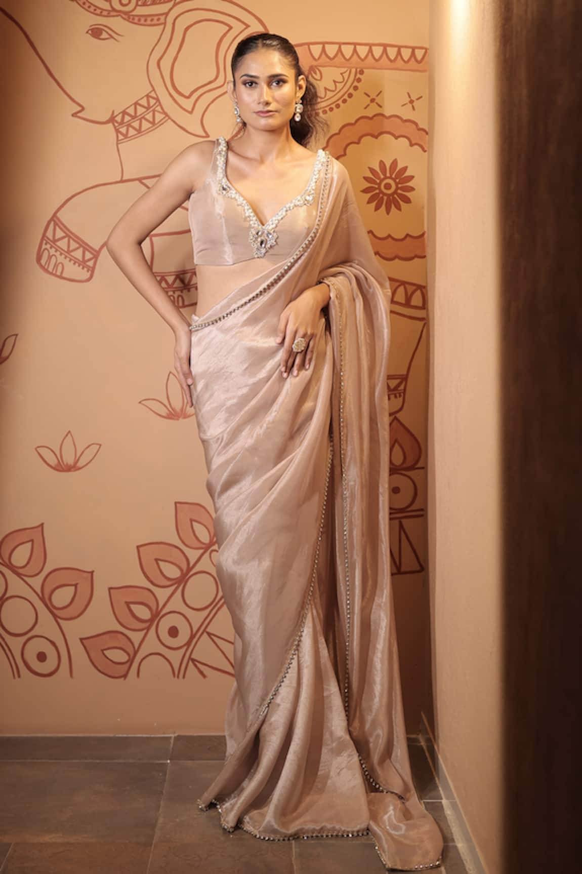 Vana Ethnics The Nirvana Border Embellished Saree With Blouse 