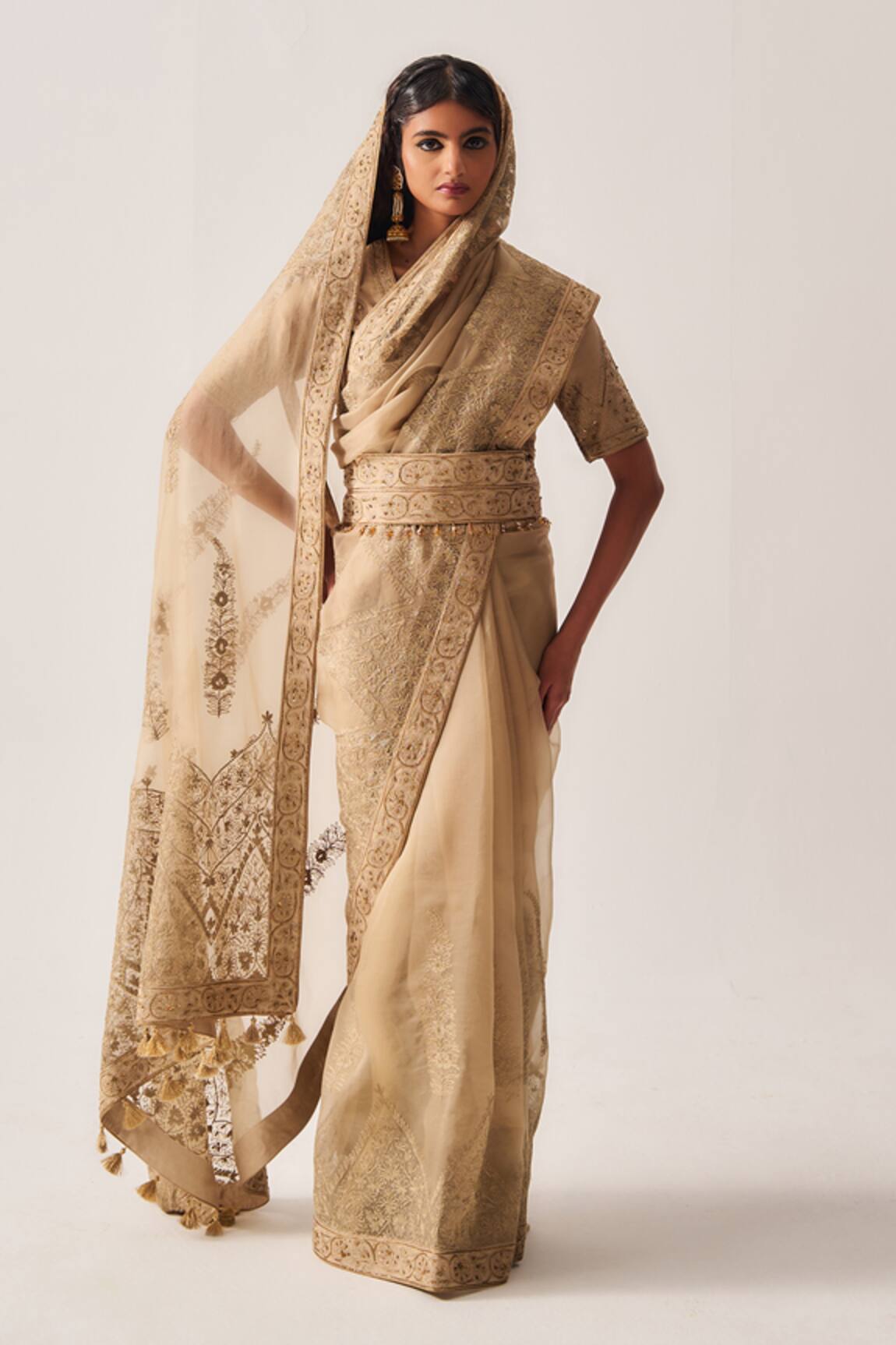 Wabi Sabi By Anshum-Ritesh Paisley Dome Embroidered Organza Saree 