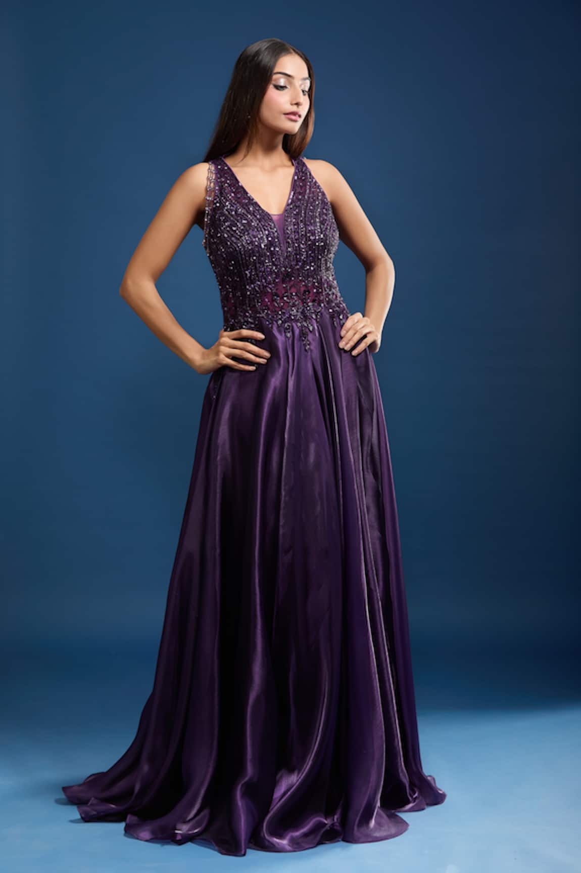 Samyukta Singhania Embellished Net Flared A-line Gown 