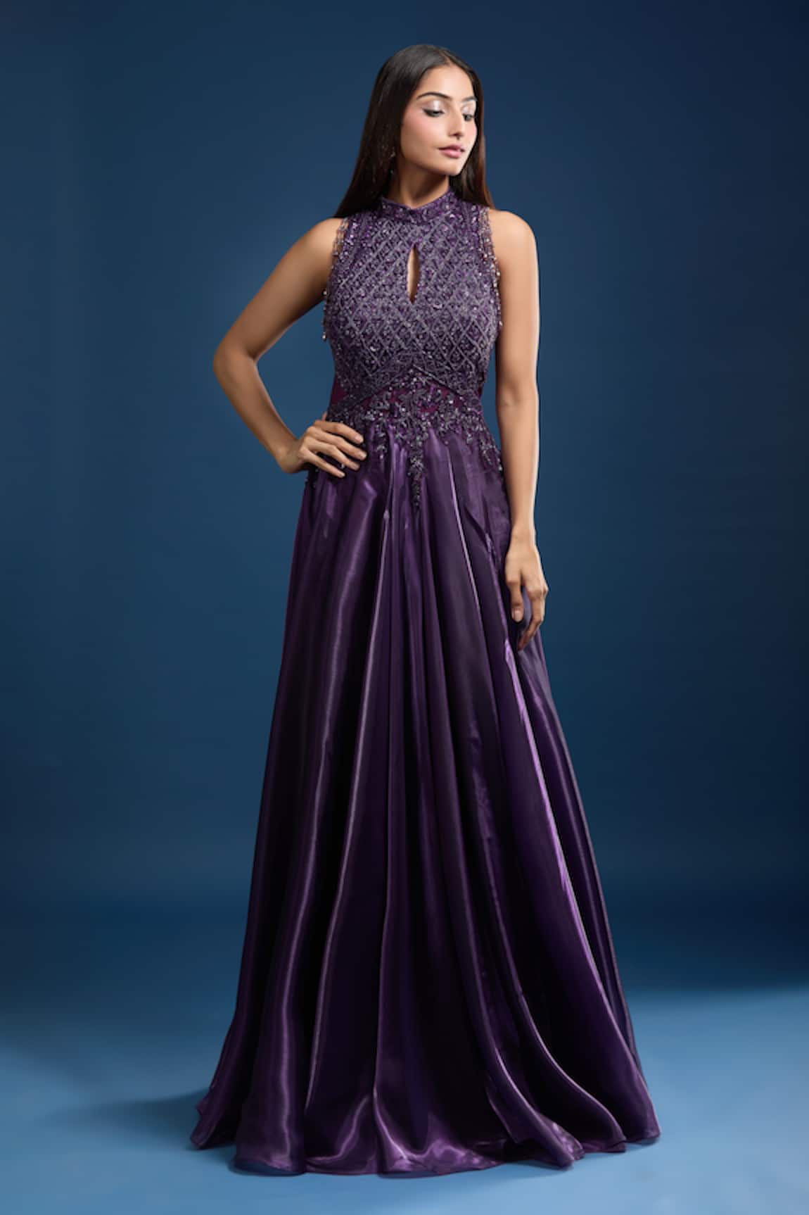 Samyukta Singhania Embellished High Neck Gown 
