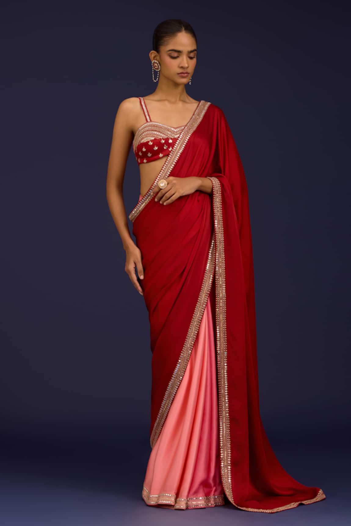 Devnaagri Zari Hand Embroidered Saree With Blouse